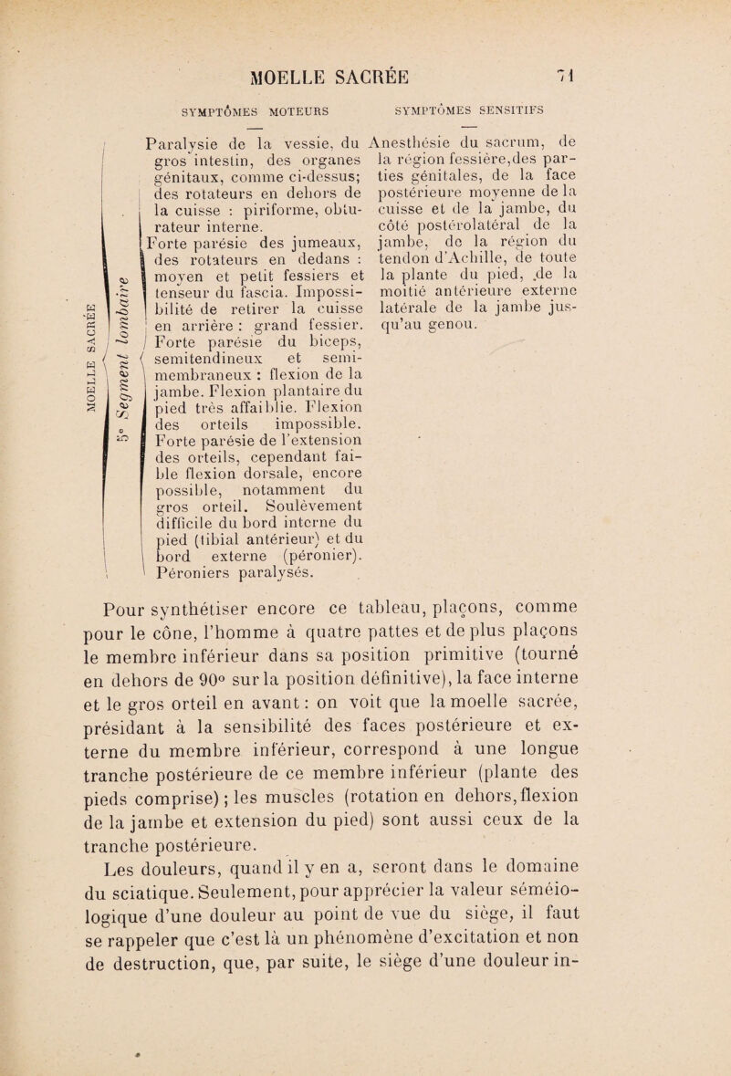 SYMPTÔMES MOTEURS SYMPTÔMES SENSITIFS W ■ta « O << H *-3 W O « -O <o PS, O '*-sJ O) eu CO iO Paralysie de la vessie, du gros intestin, des organes génitaux, comme ci-dessus; des rotateurs en dehors de la cuisse : piriforme, obtu¬ rateur interne. Forte parésie des jumeaux, I des rotateurs en dedans : I moyen et petit fessiers et i tenseur du fascia. Impossi- ! bilité de retirer la cuisse en arrière : grand fessier. I Forte parésie du biceps, ( semitendineux et semi- \ membraneux : flexion de la j jambe. Flexion plantaire du J pied très affaiblie. Flexion I des orteils impossible. I Forte parésie de l’extension [ des orteils, cependant fai- I ble flexion dorsale, encore possible, notamment du gros orteil. Soulèvement difficile du bord interne du pied (tibial antérieur) et du bord externe (péronier). ' Péroniers paralysés. Anesthésie du sacrum, de la région fessière,des par¬ ties génitales, de la face postérieure moyenne de la cuisse et de la jambe, du côté postérolatéral de la jambe, de la région du tendon d’Achille, de toute la plante du pied, .de la moitié antérieure externe latérale de la jambe jus¬ qu’au genou. Pour synthétiser encore ce tableau, plaçons, comme pour le cône, l’homme à quatre pattes et déplus plaçons le membre inférieur dans sa position primitive (tourné en dehors de 90° sur la position définitive), la face interne et le gros orteil en avant: on voit que la moelle sacrée, présidant à la sensibilité des faces postérieure et ex¬ terne du membre inférieur, correspond à une longue tranche postérieure de ce membre inférieur (plante des pieds comprise) ; les muscles (rotation en dehors, flexion de la jambe et extension du pied) sont aussi ceux de la tranche postérieure. Les douleurs, quand il y en a, seront dans le domaine du sciatique. Seulement, pour apprécier la valeur séméio¬ logique d’une douleur au point de vue du siège, il faut se rappeler que c’est là un phénomène d’excitation et non de destruction, que, par suite, le siège d’une douleur in-