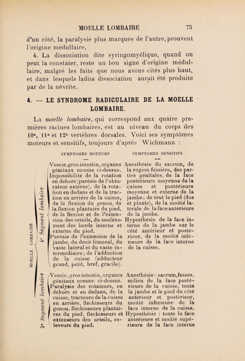 d’un côté, la paralysie plus marquée de l’autre, prouvent l’origine médullaire. 4. La dissociation dite syringomyélique, quand on peut la constater, reste un bon signe d’origine médul¬ laire, malgré les faits que nous avons cités plus haut, et dans lesquels ladite dissociation aurait été produite par de la névrite. 4. — LE SYNDROME RADICULAIRE DE LA MOELLE LOMBAIRE. La moelle lombaire, qui correspond aux quatre pre¬ mières racines lombaires, est au niveau du corps des 10e, 11e et 12e vertèbres dorsales. Voici ses symptômes moteurs et sensitifs, toujours d’après Wichmann : SYMPTOMES MOTEURS SYMPTOMES SENSITIFS JJ C-. • Oi « -O s O ►s» ça ç- S ç. Cft SJ 9 JJ ■ t-a « ~C> ça ç. Si ç. Oï <4J co Vessie,gros intestin, organes génitaux comme ci-dessus. Impossibilité de la rotation Ien dehors (parésie de l’obtu¬ rateur externe), de la rota¬ tion en dedans et de la trac¬ tion en arrière de la cuisse, de la flexion du genou, de la flexion plantaire du pied, Ide la flexion et de l’exten¬ sion des orteils, du soulève¬ ment des bords interne et externe du pied. Parésie de l’extension de la jambe, du droit fémoral, du vaste latéral et du vaste in¬ termédiaire; de l’adduction 1 de la cuisse (adducteur \ grand, petit, bref, gracile). ! Vessie, gros intestin, organes génitaux comme ci-dessus. Paralysie des rotateurs, en dehors et en dedans, de la cuisse, tracteurs de la cuisse en arrière, fléchisseurs du genou, fléchisseurs plantai¬ res du pied, fléchisseurs et extenseurs des orteils, re- leveurs du pied. Anesthésie du sacrum, de la région fessière, des par¬ ties génitales, de la face postérieure moyenne de la puisse et postérieure moyenne et externe de la jambe; de tout le pied (dos et plante), de la moitié la¬ térale de la face antérieure de la jambe. Hypesthésie de la face in¬ terne de la jambe sur le côté antérieur et posté¬ rieur, de la moitié infé¬ rieure de la face interne de la cuisse. Anesthésie: sacrum,fesses, milieu de la face posté¬ rieure de la cuisse, toute la jambe et le pied du côté antérieur et postérieur, moitié inférieure de la face interne de la cuisse. Hypesthésie : toute la face antérieure et moitié supé¬ rieure de la face interne