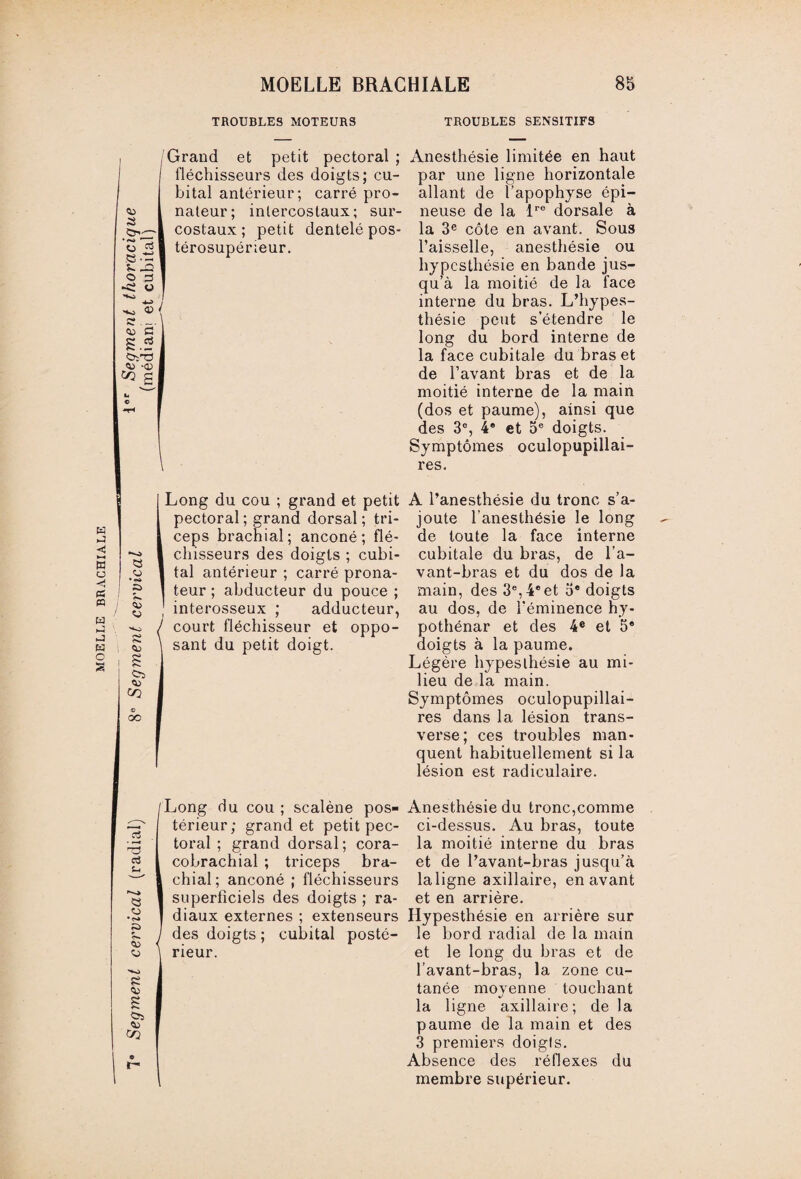 MOELLE BRACHIALE TROUBLES MOTEURS TROUBLES SENSITIFS a ‘G & ss-'S ^ ,-Q < o s = l c ri ® -<v V2 g Grand et petit pectoral ; Anesthésie limitée en haut fléchisseurs des doigts; eu- par une ligne horizontale bital antérieur; carré pro- allant de l’apophyse épi— nateur; intercostaux; sur- neuse de la lre dorsale à costaux; petit dentelé pos- la 3e côte en avant. Sous térosupérieur. l’aisselle, anesthésie ou hypesthésie en bande jus¬ qu’à la moitié de la face interne du bras. L’hypes- thésie peut s’étendre le long du bord interne de la face cubitale du bras et de l’avant bras et de la moitié interne de la main (dos et paume), ainsi que des 3e, 4e et 5e doigts. Symptômes oculopupillai- res. I Long du cou ; grand et petit I pectoral ; grand dorsal ; tri- & ceps brachial; anconé ; fié- I classeurs des doigts ; cubi- .o I tal antérieur ; carré prona- ? 1 teur ; abducteur du pouce ; £ , interosseux ; adducteur, / court fléchisseur et oppo- 2 \ sant du petit doigt, i S oï ® OC A l’anesthésie du tronc s’a¬ joute l’anesthésie le long de toute la face interne cubitale du bras, de l’a- vant-bras et du dos de la main, des 3e, 4e et 5e doigts au dos, de l’éminence hy- pothénar et des 4e et 5e doigts à la paume. Légère hypesthésie au mi¬ lieu de la main. Symptômes oculopupillai- res dans la lésion trans¬ verse; ces troubles man¬ quent habituellement si la lésion est radiculaire. Long du cou ; scalène pos¬ térieur; grand et petit pec¬ toral ; grand dorsal ; cora- cobrachial ; triceps bra¬ chial ; anconé ; fléchisseurs superficiels des doigts ; ra¬ diaux externes ; extenseurs des doigts ; cubital posté¬ rieur. Anesthésie du tronc,comme ci-dessus. Au bras, toute la moitié interne du bras et de l’avant-bras jusqu’à laligne axillaire, en avant et en arrière. Hypesthésie en arrière sur le bord radial de la main et le long du bras et de l’avant-bras, la zone cu¬ tanée moyenne touchant la ligne axillaire; de la paume de la main et des 3 premiers doigts. Absence des réflexes du membre supérieur.