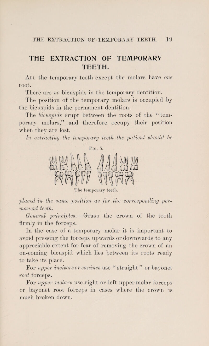 THE EXTRACTION OF TEMPORARY TEETH. All the temporary teeth except the molars have one root. There are no bicuspids in the temporary dentition. The position of the temporary molars is occupied by the bicuspids in the permanent dentition. The bicuspids erupt between the roots of the “ tem¬ porary molars,” and therefore occupy their position when they are lost. In extracting the temporary teeth the patient should be Fig. 5. Tlie temporary teeth. placed in the same position as for the corresponding per¬ manent teeth. General principles.—Grasp the crown of the tooth firmly in the forceps. In the case of a temporary molar it is important to avoid pressing the forceps upwards or downwards to any appreciable extent for fear of removing the crown of an on-coming bicuspid which lies between its roots ready to take its place. For upper incisors or canines use “ straight ” or bayonet root forceps. For upper molars use right or left upper molar forceps or bayonet root forceps in cases where the crown is much broken down.