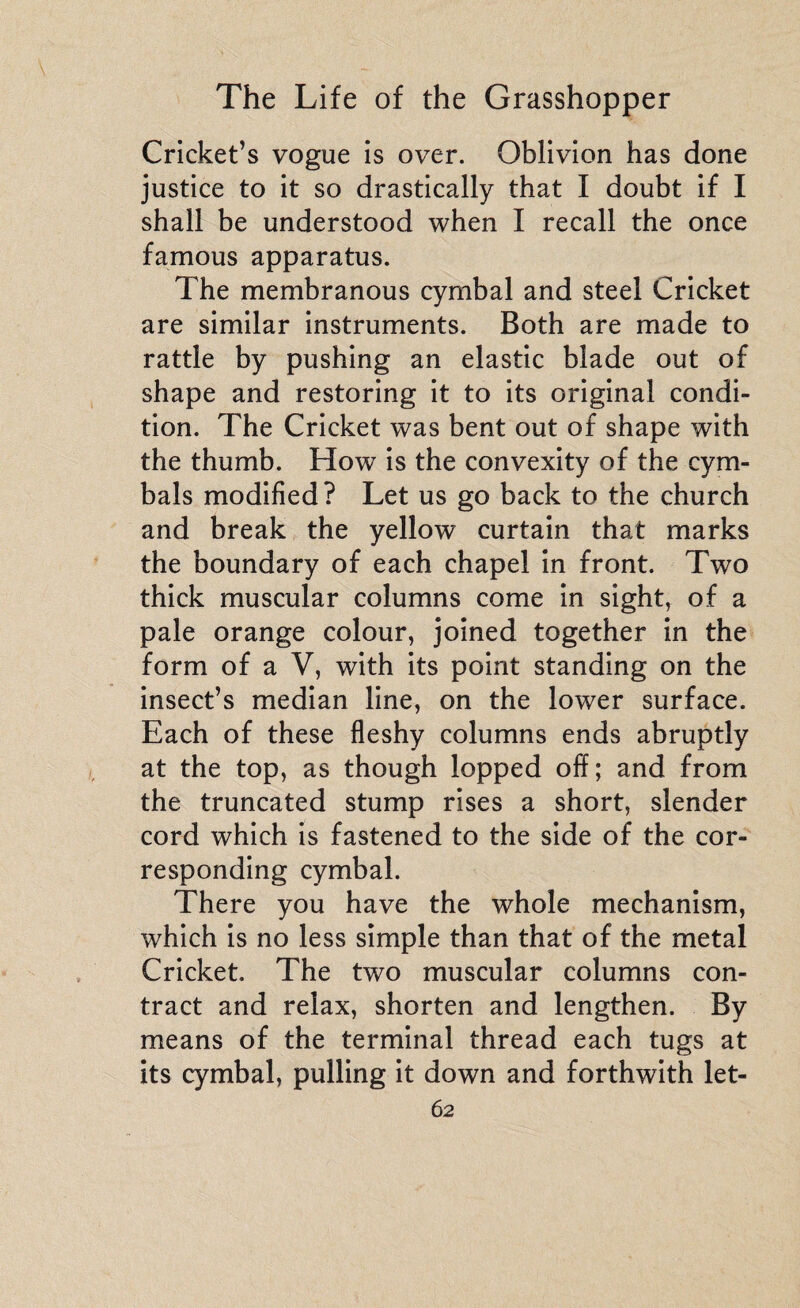 Cricket’s vogue is over. Oblivion has done justice to it so drastically that I doubt if I shall be understood when I recall the once famous apparatus. The membranous cymbal and steel Cricket are similar instruments. Both are made to rattle by pushing an elastic blade out of shape and restoring it to its original condi¬ tion. The Cricket was bent out of shape with the thumb. How is the convexity of the cym¬ bals modified? Let us go back to the church and break the yellow curtain that marks the boundary of each chapel in front. Two thick muscular columns come in sight, of a pale orange colour, joined together in the form of a V, with its point standing on the insect’s median line, on the lower surface. Each of these fleshy columns ends abruptly at the top, as though lopped off; and from the truncated stump rises a short, slender cord which is fastened to the side of the cor¬ responding cymbal. There you have the whole mechanism, which is no less simple than that of the metal Cricket The two muscular columns con¬ tract and relax, shorten and lengthen. By means of the terminal thread each tugs at its cymbal, pulling it down and forthwith let-