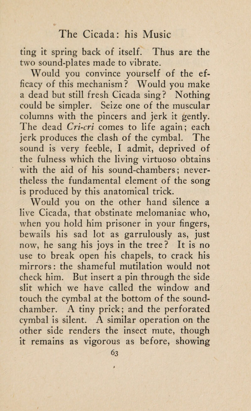 ting it spring back of itself. Thus are the two sound-plates made to vibrate. Would you convince yourself of the ef¬ ficacy of this mechanism? Would you make a dead but still fresh Cicada sing? Nothing could be simpler. Seize one of the muscular columns with the pincers and jerk it gently. The dead Cri-cri comes to life again; each jerk produces the clash of the cymbal. The sound is very feeble, I admit, deprived of the fulness which the living virtuoso obtains with the aid of his sound-chambers; never¬ theless the fundamental element of the song is produced by this anatomical trick. Would you on the other hand silence a live Cicada, that obstinate melomaniac who, when you hold him prisoner in your fingers, bewails his sad lot as garrulously as, just now, he sang his joys in the tree? It is no use to break open his chapels, to crack his mirrors : the shameful mutilation would not check him. But insert a pin through the side slit which we have called the window and touch the cymbal at the bottom of the sound- chamber. A tiny prick; and the perforated cymbal is silent. A similar operation on the other side renders the insect mute, though it remains as vigorous as before, showing