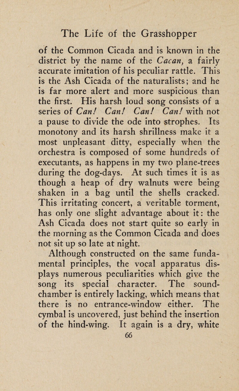 of the Common Cicada and is known in the district by the name of the Cacan, a fairly accurate imitation of his peculiar rattle. This is the Ash Cicada of the naturalists; and he is far more alert and more suspicious than the first. His harsh loud song consists of a series of Can! Can! Can! Can! with not a pause to divide the ode into strophes. Its monotony and its harsh shrillness make it a most unpleasant ditty, especially when the orchestra is composed of some hundreds of executants, as happens in my two plane-trees during the dog-days. At such times it is as though a heap of dry walnuts were being shaken in a bag until the shells cracked. This irritating concert, a veritable torment, has only one slight advantage about it: the Ash Cicada does not start quite so early in the morning as the Common Cicada and does not sit up so late at night. Although constructed on the same funda¬ mental principles, the vocal apparatus dis¬ plays numerous peculiarities which give the song its special character. The sound- chamber is entirely lacking, which means that there is no entrance-window either. The cymbal is uncovered, just behind the insertion of the hind-wing. It again is a dry, white