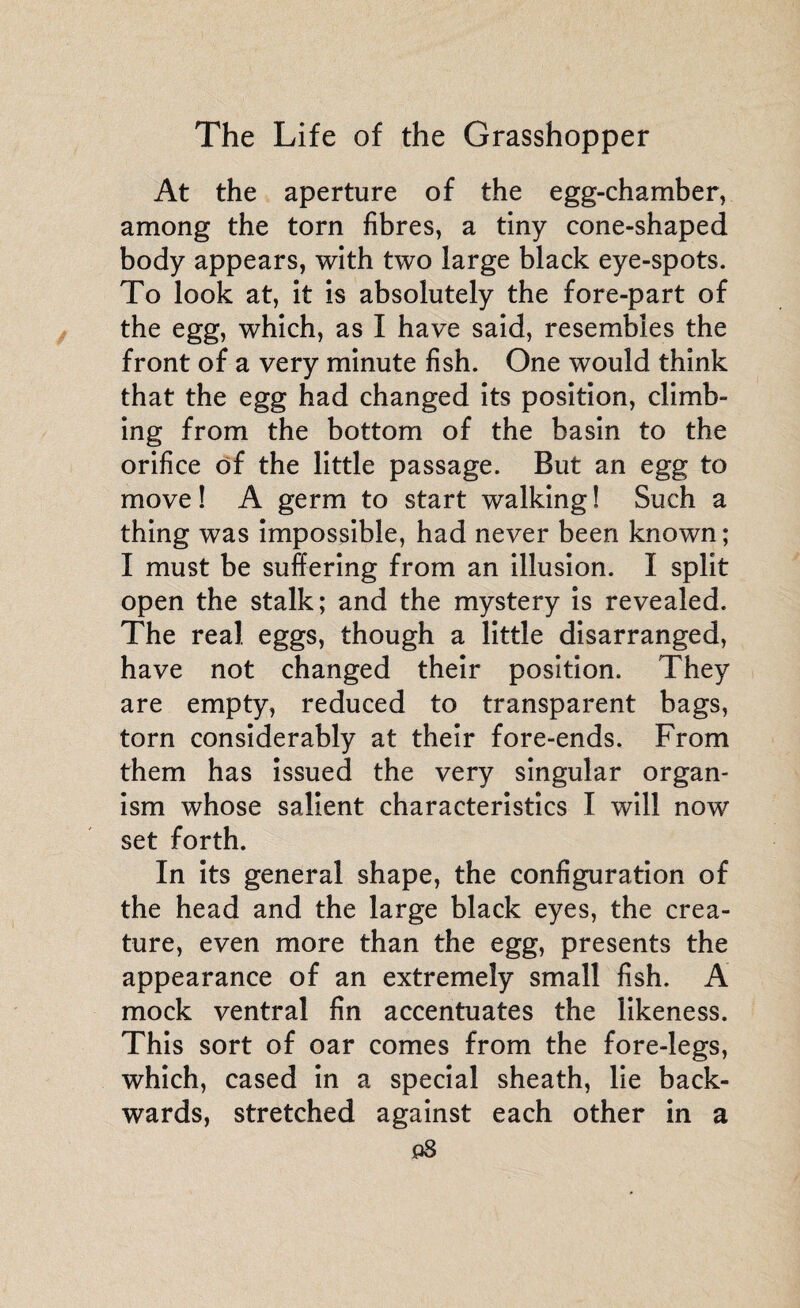 At the aperture of the egg-chamber, among the torn fibres, a tiny cone-shaped body appears, with two large black eye-spots. To look at, it is absolutely the fore-part of the egg, which, as I have said, resembles the front of a very minute fish. One would think that the egg had changed its position, climb¬ ing from the bottom of the basin to the orifice of the little passage. But an egg to move ! A germ to start walking ! Such a thing was impossible, had never been known; I must be suffering from an illusion. I split open the stalk; and the mystery is revealed. The real, eggs, though a little disarranged, have not changed their position. They are empty, reduced to transparent bags, torn considerably at their fore-ends. From them has issued the very singular organ¬ ism whose salient characteristics I will now set forth. In its general shape, the configuration of the head and the large black eyes, the crea¬ ture, even more than the egg, presents the appearance of an extremely small fish. A mock ventral fin accentuates the likeness. This sort of oar comes from the fore-legs, which, cased in a special sheath, lie back¬ wards, stretched against each other in a p8