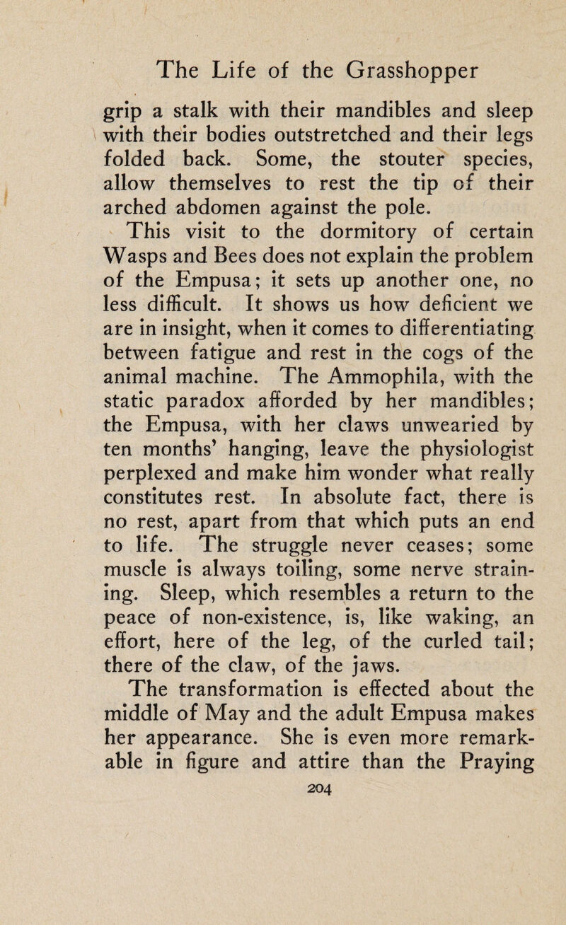 grip a stalk with their mandibles and sleep with their bodies outstretched and their legs folded back. Some, the stouter species, allow themselves to rest the tip of their arched abdomen against the pole. This visit to the dormitory of certain Wasps and Bees does not explain the problem of the Empusa; it sets up another one, no less difficult. It shows us how deficient we are in insight, when it comes to differentiating between fatigue and rest in the cogs of the animal machine. The Ammophila, with the static paradox afforded by her mandibles; the Empusa, with her claws unwearied by ten months’ hanging, leave the physiologist perplexed and make him wonder what really constitutes rest. In absolute fact, there is no rest, apart from that which puts an end to life. The struggle never ceases; some muscle is always toiling, some nerve strain¬ ing. Sleep, which resembles a return to the peace of non-existence, is, like waking, an effort, here of the leg, of the curled tail; there of the claw, of the jaws. The transformation is effected about the middle of May and the adult Empusa makes her appearance. She is even more remark¬ able in figure and attire than the Praying