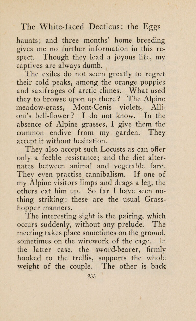 haunts; and three months’ home breeding gives me no further information in this re¬ spect. Though they lead a joyous life, my captives are always dumb. The exiles do not seem greatly to regret their cold peaks, among the orange poppies and saxifrages of arctic climes. What used they to browse upon up there? The Alpine meadow-grass, Mont-Cenis violets, Alli- oni’s bell-flower? I do not know. In the absence of Alpine grasses, I give them the common endive from my garden. They accept it without hesitation. They also accept such Locusts as can offer only a feeble resistance; and the diet alter¬ nates between animal and vegetable fare. They even practise cannibalism. If one of my Alpine visitors limps and drags a leg, the others eat him up. So far I have seen no¬ thing striking: these are the usual Grass¬ hopper manners. The interesting sight is the pairing, which occurs suddenly, without any prelude. The meeting takes place sometimes on the ground, sometimes on the wirework of the cage. In the latter case, the sword-bearer, firmly hooked to the trellis, supports the whole weight of the couple. The other is back