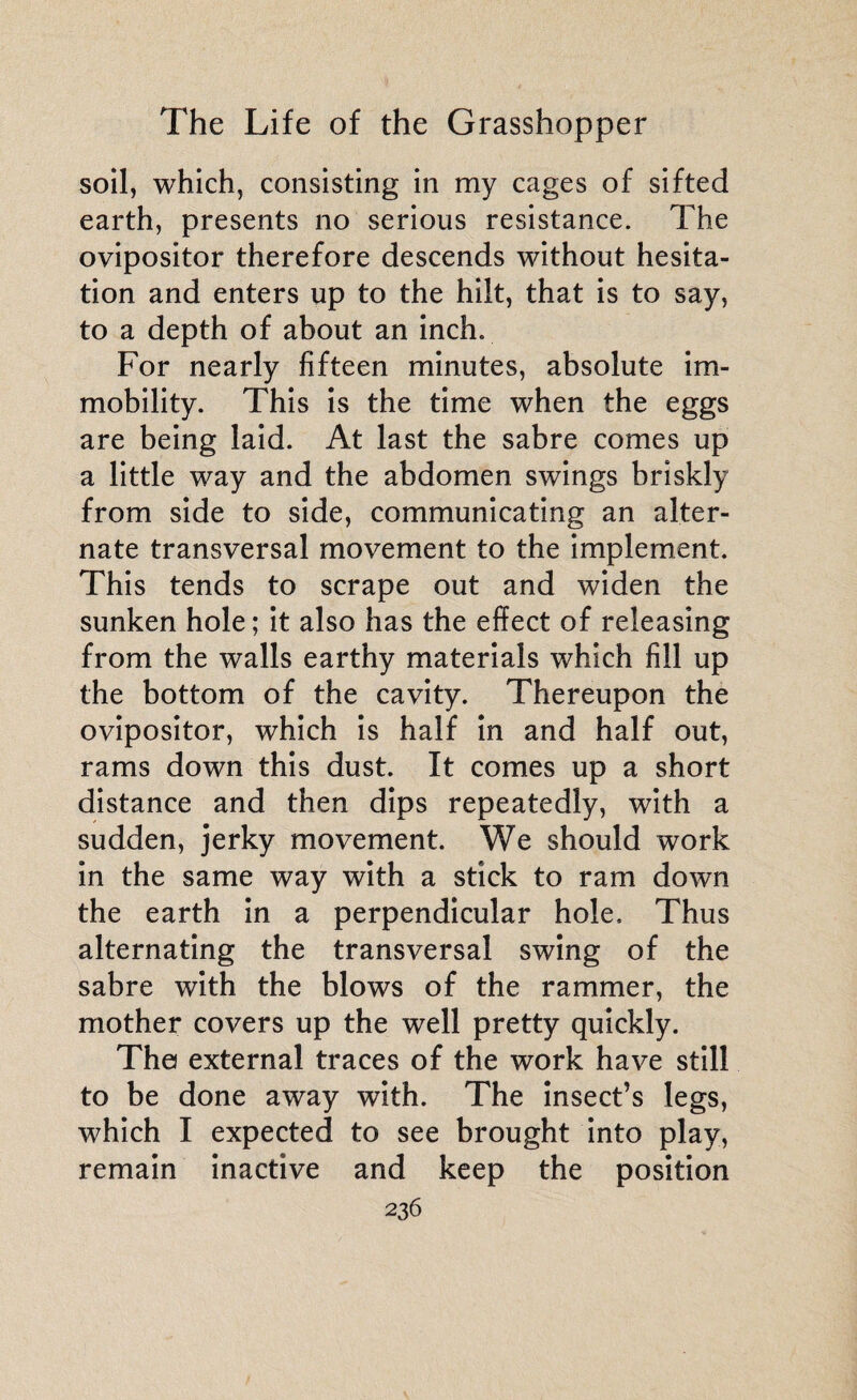 soil, which, consisting in my cages of sifted earth, presents no serious resistance. The ovipositor therefore descends without hesita¬ tion and enters up to the hilt, that is to say, to a depth of about an inch. For nearly fifteen minutes, absolute im¬ mobility. This is the time when the eggs are being laid. At last the sabre comes up a little way and the abdomen swings briskly from side to side, communicating an alter¬ nate transversal movement to the implement. This tends to scrape out and widen the sunken hole; it also has the effect of releasing from the walls earthy materials which fill up the bottom of the cavity. Thereupon the ovipositor, which is half in and half out, rams down this dust. It comes up a short distance and then dips repeatedly, with a sudden, jerky movement. We should work in the same way with a stick to ram down the earth in a perpendicular hole. Thus alternating the transversal swing of the sabre with the blows of the rammer, the mother covers up the well pretty quickly. The external traces of the work have still to be done away with. The insect’s legs, which I expected to see brought into play, remain inactive and keep the position