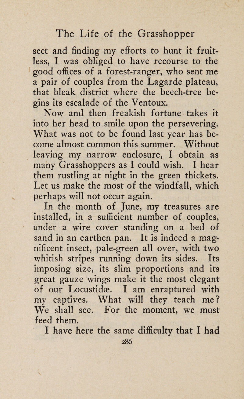 sect and finding my efforts to hunt it fruit¬ less, I was obliged to have recourse to the good offices of a forest-ranger, who sent me a pair of couples from the Lagarde plateau, that bleak district where the beech-tree be¬ gins its escalade of the Ventoux. Now and then freakish fortune takes it into her head to smile upon the persevering. What was not to be found last year has be¬ come almost common this summer. Without leaving my narrow enclosure, I obtain as many Grasshoppers as I could wish. I hear them rustling at night in the green thickets. Let us make the most of the windfall, which perhaps will not occur again. In the month of June, my treasures are installed, in a sufficient number of couples, under a wire cover standing on a bed of sand in an earthen pan. It is indeed a mag¬ nificent insect, pale-green all over, with two whitish stripes running down its sides. Its imposing size, its slim proportions and its great gauze wings make it the most elegant of our Locustidæ. I am enraptured with my captives. What will they teach me ? We shall see. For the moment, we must feed them. I have here the same difficulty that I had