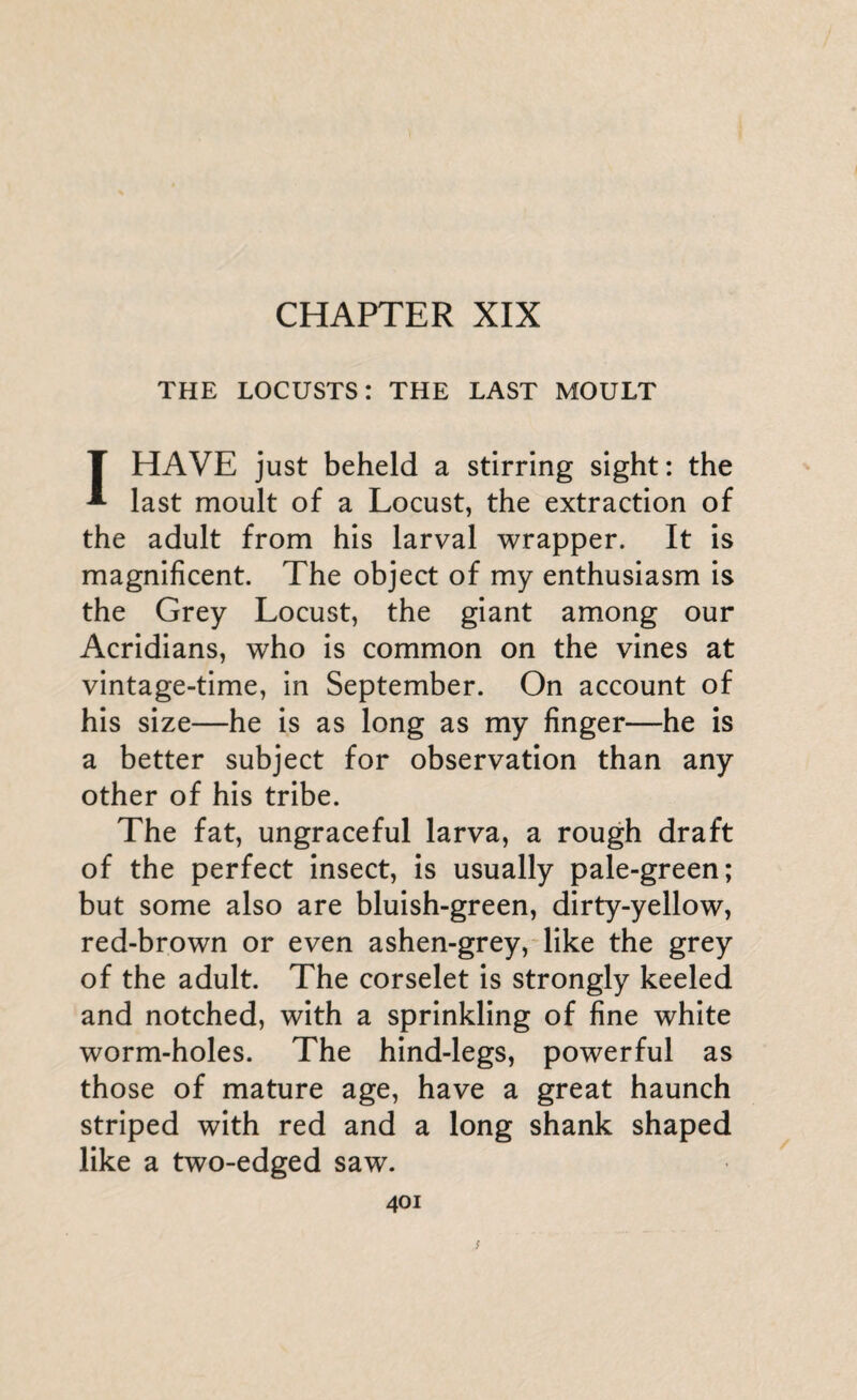 CHAPTER XIX THE LOCUSTS: THE LAST MOULT 1HAVE just beheld a stirring sight: the last moult of a Locust, the extraction of the adult from his larval wrapper. It is magnificent. The object of my enthusiasm is the Grey Locust, the giant among our Acridians, who is common on the vines at vintage-time, in September. On account of his size—he is as long as my finger—he is a better subject for observation than any other of his tribe. The fat, ungraceful larva, a rough draft of the perfect insect, is usually pale-green; but some also are bluish-green, dirty-yellow, red-brown or even ashen-grey, like the grey of the adult. The corselet is strongly keeled and notched, with a sprinkling of fine white worm-holes. The hind-legs, powerful as those of mature age, have a great haunch striped with red and a long shank shaped like a two-edged saw. 401 s