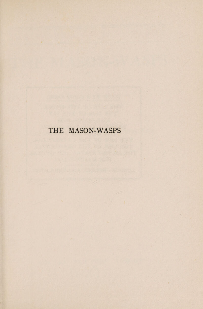 THE MASON-WASPS