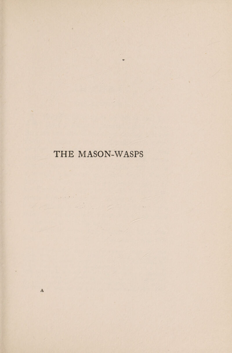 THE MASON-WASPS