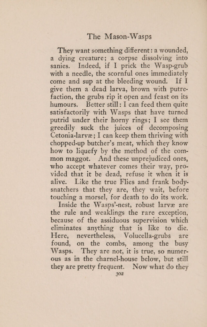 They want something different: a wounded, a dying creature; a corpse dissolving into sanies. Indeed, if I prick the Wasp-grub with a needle, the scornful ones immediately come and sup at the bleeding wound. If I give them a dead larva, brown with putre¬ faction, the grubs rip it open and feast on its humours. Better still : I can feed them quite satisfactorily with Wasps that have turned putrid under their horny rings; I see them greedily suck the juices of decomposing Cetonia-larvæ ; I can keep them thriving with chopped-up butcher’s meat, which they know how to liquefy by the method of the com¬ mon maggot. And these unprejudiced ones, who accept whatever comes their way, pro¬ vided that it be dead, refuse it when it is alive. Like the true Flies and frank body- snatchers that they are, they wait, before touching a morsel, for death to do its work. Inside the Wasps’-nest, robust larvae are the rule and weaklings the rare exception, because of the assiduous supervision which eliminates anything that is like to die. Here, nevertheless, Volucella-grubs are found, on the combs, among the busy Wasps. They are not, it is true, so numer¬ ous as in the charnel-house below, but still they are pretty frequent. Now what do they