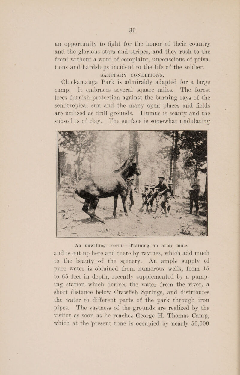 an opportunity to fight for the honor of their country and the glorious stars and stripes, and they rush to the front without a word of complaint, unconscious of priva¬ tions and hardships incident to the life of the soldier. SANITARY CONDITIONS. Chickamauga Park is admirably adapted for a large camp. It embraces several square miles. The forest trees furnish protection against the burning rays of the semitropical sun and the many open places and fields are utilized as drill grounds. Humus is scanty and the subsoil is of clay. The surface is somewhat undulating An unwilling recruit—Training an army mule. and is cut up here and there by ravines, which add much to the beauty of the scenery. An ample supply of pure water is obtained from numerous wells, from 15 to 65 feet in depth, recently supplemented by a pump¬ ing station which derives the water from the river, a short distance below Crawfish Springs, and distributes the water to different parts of the park through iron pipes. The vastness of the grounds are realized by the visitor as soon as he reaches George H. Thomas Camp, which at the present time is occupied by nearly 50,000