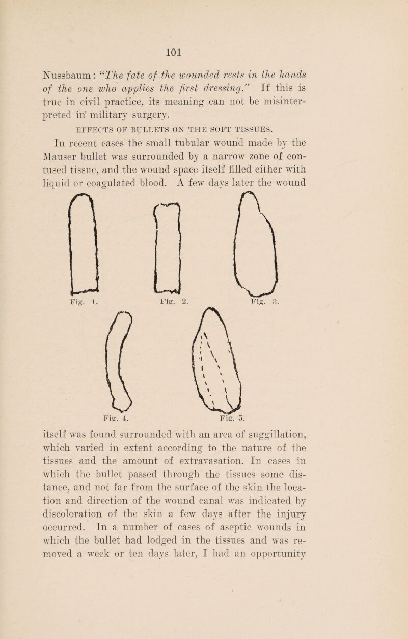 Nussbaum: “The fate of the wounded rests in the hands of the one who applies the first dressingIf this is true in civil practice, its meaning can not be misinter¬ preted in military surgery. EFFECTS OF BULLETS ON TFIE SOFT TISSUES. In recent cases the small tubular wound made by the Mauser bullet was surrounded by a narrow zone of con¬ tused tissue, and the wound space itself filled either with liquid or coagulated blood. A few days later the wound itself was found surrounded with an area of suggiilation, which varied in extent according to the nature of the tissues and the amount of extravasation. In cases in which the bullet passed through the tissues some dis¬ tance, and not far from the surface of the skin the loca¬ tion and direction of the wound canal was indicated by discoloration of the skin a few days after the injury occurred. In a number of cases of aseptic wounds in which the bullet had lodged in the tissues and was re¬ moved a week or ten days later, I had an opportunity