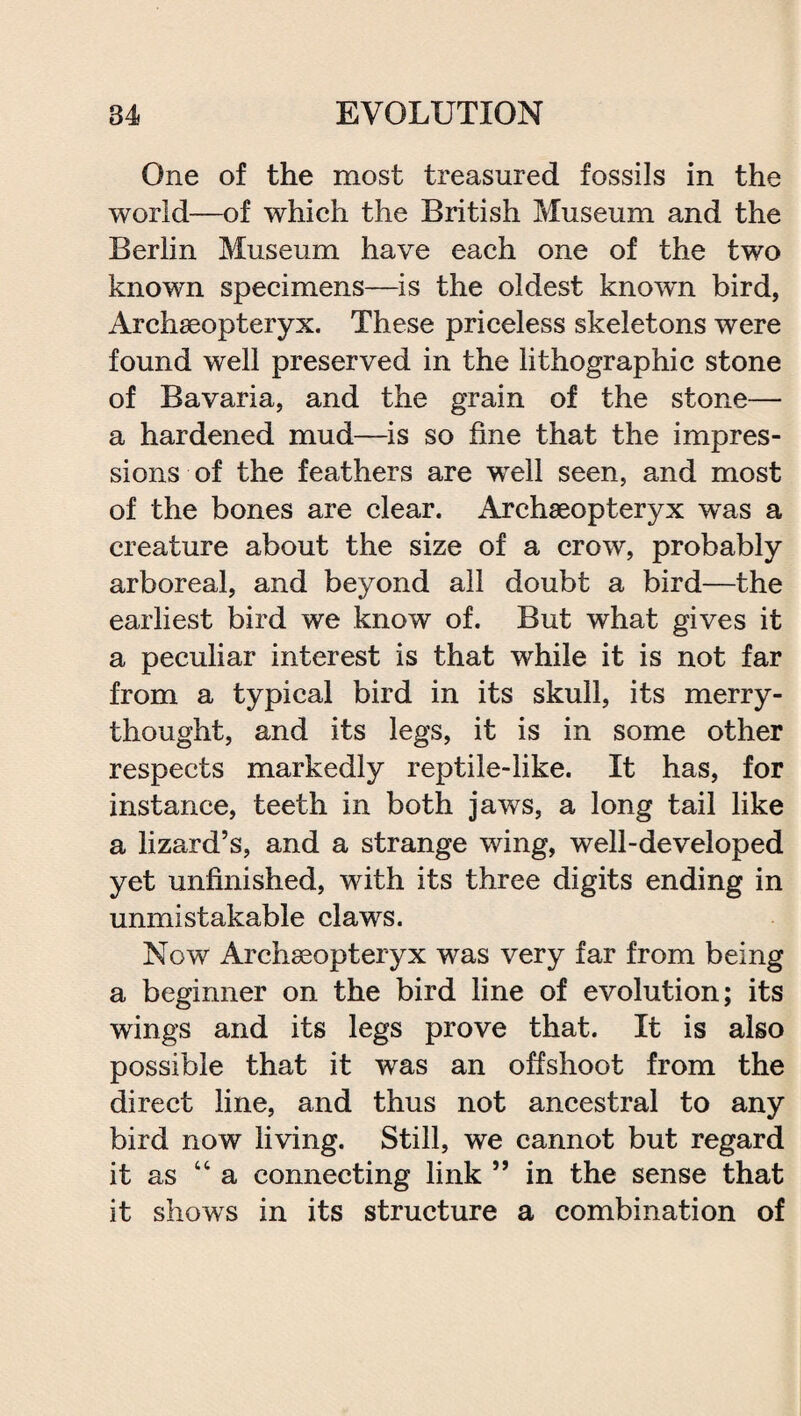 One of the most treasured fossils in the world—of which the British Museum and the Berlin Museum have each one of the two known specimens—is the oldest known bird, Archaeopteryx. These priceless skeletons were found well preserved in the lithographic stone of Bavaria, and the grain of the stone— a hardened mud—is so fine that the impres¬ sions of the feathers are well seen, and most of the bones are clear. Archaeopteryx was a creature about the size of a crow, probably arboreal, and beyond all doubt a bird—the earliest bird we know of. But what gives it a peculiar interest is that while it is not far from a typical bird in its skull, its merry¬ thought, and its legs, it is in some other respects markedly reptile-like. It has, for instance, teeth in both jaws, a long tail like a lizard’s, and a strange wing, well-developed yet unfinished, with its three digits ending in unmistakable claws. Now Archaeopteryx was very far from being a beginner on the bird line of evolution; its wings and its legs prove that. It is also possible that it was an offshoot from the direct line, and thus not ancestral to any bird now living. Still, we cannot but regard it as “a connecting link ” in the sense that it shows in its structure a combination of