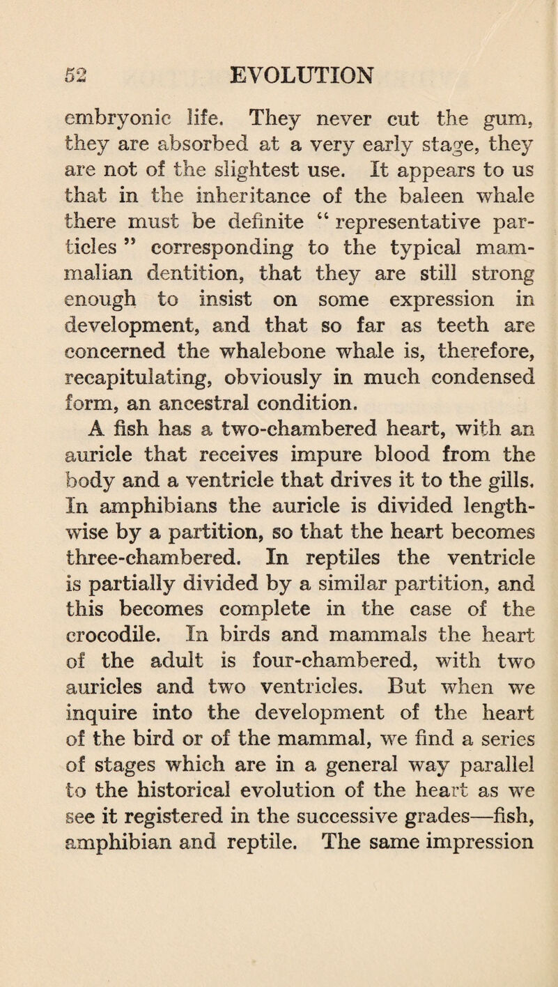 embryonic life. They never cut the gum. they are absorbed at a very early stage, they are not of the slightest use. It appears to us that in the inheritance of the baleen whale there must be definite “ representative par¬ ticles ,s corresponding to the typical mam¬ malian dentition, that they are still strong enough to insist on some expression in development, and that so far as teeth are concerned the whalebone whale is, therefore, recapitulating, obviously in much condensed form, an ancestral condition. A fish has a two-chambered heart, with an auricle that receives impure blood from the body and a ventricle that drives it to the gills. In amphibians the auricle is divided length¬ wise by a partition, so that the heart becomes three-chambered. In reptiles the ventricle is partially divided by a similar partition, and this becomes complete in the case of the crocodile. In birds and mammals the heart of the adult is four-chambered, with two auricles and two ventricles. But when we inquire into the development of the heart of the bird or of the mammal, we find a series of stages which are in a general way parallel to the historical evolution of the heart as we see it registered in the successive grades—fish, amphibian and reptile. The same impression