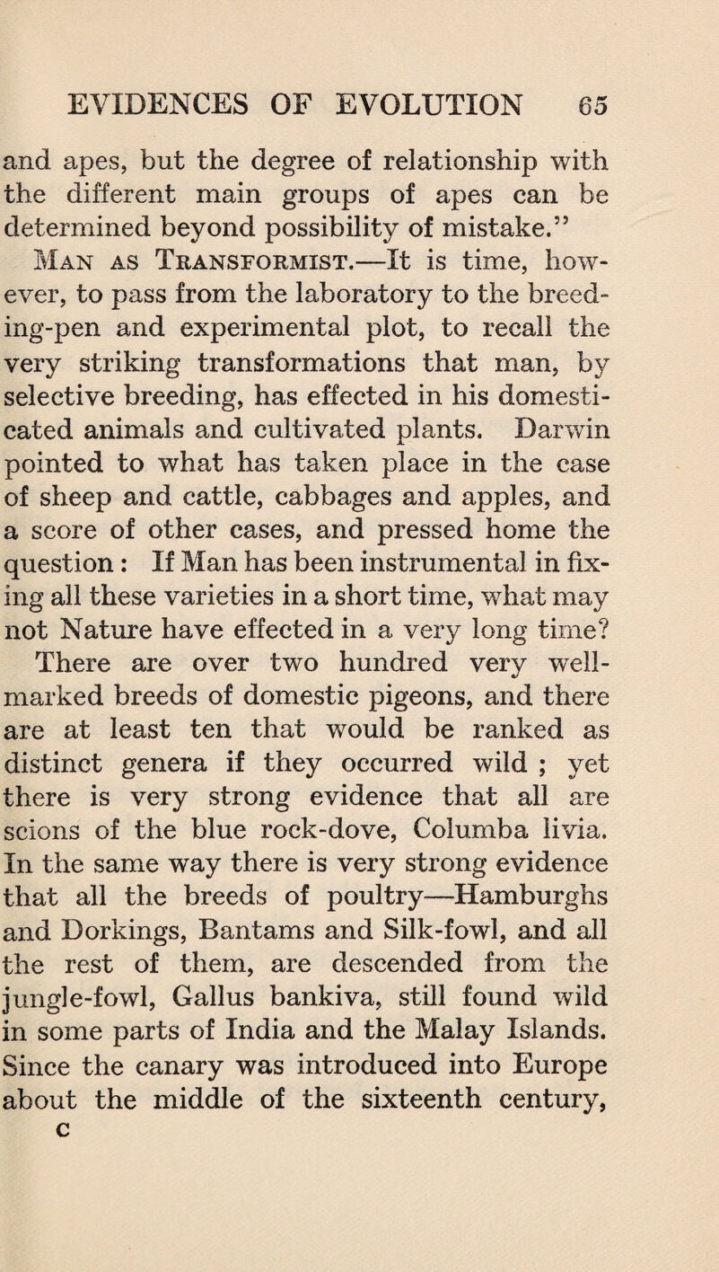 and apes, but the degree of relationship with the different main groups of apes can be determined beyond possibility of mistake.55 Man as Transformist.—It is time, how¬ ever, to pass from the laboratory to the breed¬ ing-pen and experimental plot, to recall the very striking transformations that man, by selective breeding, has effected in his domesti¬ cated animals and cultivated plants. Darwin pointed to what has taken place in the case of sheep and cattle, cabbages and apples, and a score of other cases, and pressed home the question: If Man has been instrumental in fix¬ ing all these varieties in a short time, what may not Nature have effected in a very long time? There are over two hundred very well- marked breeds of domestic pigeons, and there are at least ten that would be ranked as distinct genera if they occurred wild ; yet there is very strong evidence that all are scions of the blue rock-dove, Columba livia. In the same way there is very strong evidence that all the breeds of poultry—Hamburghs and Dorkings, Bantams and Silk-fowl, and all the rest of them, are descended from the jungle-fowl, Gallus bankiva, still found wild in some parts of India and the Malay Islands. Since the canary was introduced into Europe about the middle of the sixteenth century, c