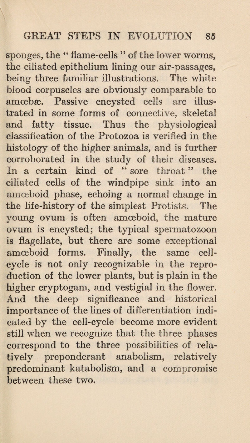 sponges, the “ flame-cells ” of the lower worms, the ciliated epithelium lining our air-passages, being three familiar illustrations. The white blood corpuscles are obviously comparable to amoebae. Passive encysted cells are illus¬ trated in some forms of connective, skeletal and fatty tissue. Thus the physiological classification of the Protozoa is verified in the histology of the higher animals, and is further corroborated in the study of their diseases. In a certain kind of “ sore throat55 the ciliated cells of the windpipe sink into an amoeboid phase, echoing a normal change in the life-history of the simplest Protists. The young ovum is often amoeboid, the mature ovum is encysted; the typical spermatozoon is flagellate, but there are some exceptional amoeboid forms. Finally, the same cell- cycle is not only recognizable in the repro¬ duction of the lower plants, but is plain in the higher cryptogam, and vestigial in the flower. And the deep significance and historical importance of the lines of differentiation indi¬ cated by the cell-cycle become more evident still when we recognize that the three phases correspond to the three possibilities of rela¬ tively preponderant anabolism, relatively predominant katabolism, and a compromise between these two.