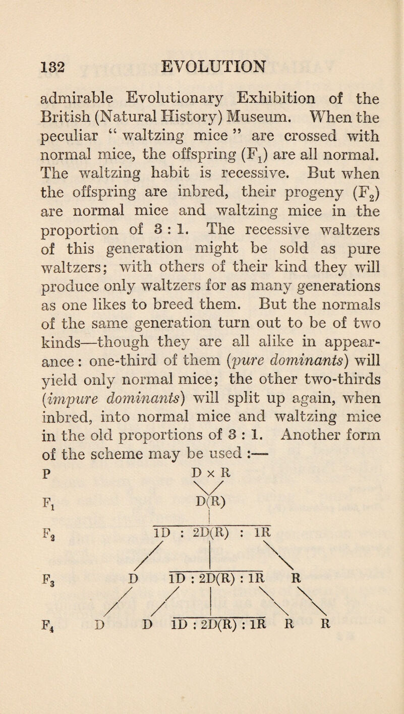 admirable Evolutionary Exhibition of the British (Natural History) Museum. When the peculiar “ waltzing mice ” are crossed with normal mice, the offspring (F^ are all normal. The waltzing habit is recessive. But when the offspring are inbred, their progeny (F2) are normal mice and waltzing mice in the proportion of 3:1. The recessive waltzers of this generation might be sold as pure waltzers; with others of their kind they will produce only waltzers for as many generations as one likes to breed them. But the normals of the same generation turn out to be of twTo kinds—though they are all alike in appear¬ ance : one-third of them (pure dominants) will yield only normal mice; the other two-thirds (impure dominants) will split up again, when inbred, into normal mice and waltzing mice in the old proportions of 3 : 1. Another form of the scheme may be used :— p DxR f3 ID : 2B(R) : 1R ID : 2D(R) : 1R \ R \ F4 D D ID : 2D(R) : 1R R R