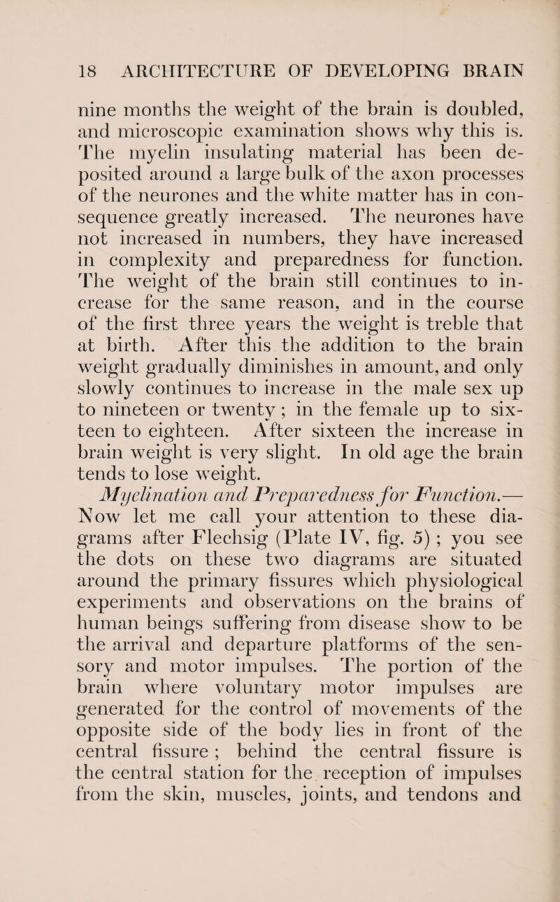 nine months the weight of the brain is doubled, and microscopic examination shows why this is. The myelin insulating material has been de¬ posited around a large bulk of the axon processes of the neurones and the white matter has in con¬ sequence greatly increased. The neurones have not increased in numbers, they have increased in complexity and preparedness for function. The weight of the brain still continues to in¬ crease for the same reason, and in the course of the first three years the weight is treble that at birth. After this the addition to the brain weight gradually diminishes in amount, and only slowly continues to increase in the male sex up to nineteen or twenty ; in the female up to six¬ teen to eighteen. After sixteen the increase in brain weight is very slight. In old age the brain tends to lose weight. Myelination and Preparedness for Function.— Now let me call your attention to these dia¬ grams after Flechsig (Plate IV, fig. 5) ; you see the dots on these two diagrams are situated around the primary fissures which physiological experiments and observations on the brains of human beings suffering from disease show to be the arrival and departure platforms of the sen¬ sory and motor impulses. The portion of the brain where voluntary motor impulses are generated for the control of movements of the opposite side of the body lies in front of the central fissure ; behind the central fissure is the central station for the reception of impulses from the skin, muscles, joints, and tendons and