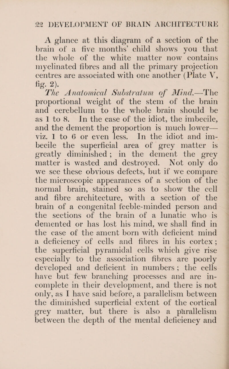 A glance at this diagram of a section of the brain of a five months’ child shows you that the whole of the white matter now contains myelinated fibres and all the primary projection centres are associated with one another (Plate V, % 2)- The Anatomical Substratum of Mind.—The proportional weight of the stem of the brain and cerebellum to the whole brain should be as 1 to 8. In the case of the idiot, the imbecile, and the dement the proportion is much lower— viz. 1 to 6 or even less. In the idiot and im¬ becile the superficial area of grey matter is greatly diminished ; in the dement the grey matter is wasted and destroyed. Not only do we see these obvious defects, but if we compare the microscopic appearances of a section of the normal brain, stained so as to show the cell and fibre architecture, with a section of the brain of a congenital feeble-minded person and the sections of the brain of a lunatic who is demented or has lost his mind, we shall find in the case of the ament born with deficient mind a deficiency of cells and fibres in his cortex ; the superficial pyramidal cells which give rise especially to the association fibres are poorly developed and deficient in numbers ; the cells have but few branching processes and are in¬ complete in their development, and there is not only, as I have said before, a parallelism between the diminished superficial extent of the cortical grey matter, but there is also a parallelism between the depth of the mental deficiency and