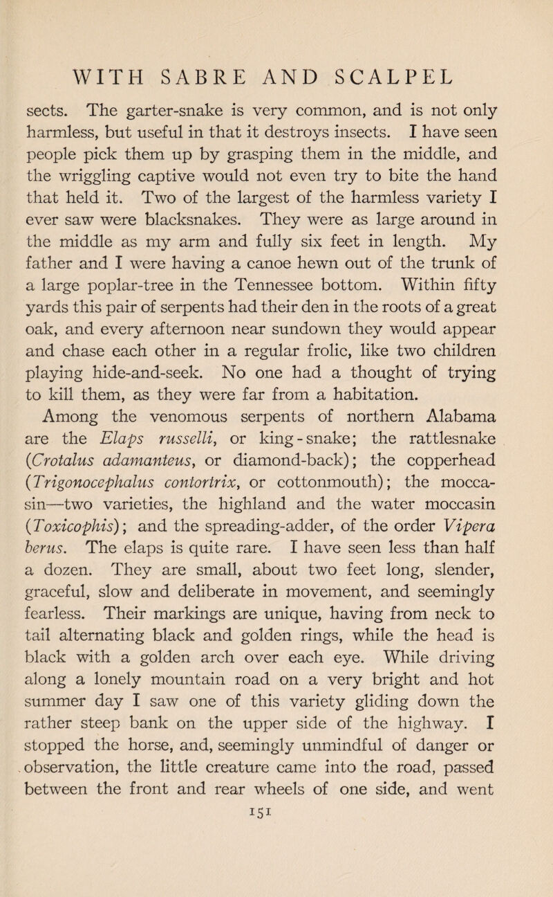 sects. The garter-snake is very common, and is not only harmless, but useful in that it destroys insects. I have seen people pick them up by grasping them in the middle, and the wriggling captive would not even try to bite the hand that held it. Two of the largest of the harmless variety I ever saw were blacksnakes. They were as large around in the middle as my arm and fully six feet in length. My father and I were having a canoe hewn out of the trunk of a large poplar-tree in the Tennessee bottom. Within fifty yards this pair of serpents had their den in the roots of a great oak, and every afternoon near sundown they would appear and chase each other in a regular frolic, like two children playing hide-and-seek. No one had a thought of trying to kill them, as they were far from a habitation. Among the venomous serpents of northern Alabama are the Elaps russelli, or king-snake; the rattlesnake (Crotaius adamanteus, or diamond-back); the copperhead (Trigonocephaliis contortrix, or cottonmouth); the mocca¬ sin—two varieties, the highland and the water moccasin (Toxicophis); and the spreading-adder, of the order Viper a berus. The elaps is quite rare. I have seen less than half a dozen. They are small, about two feet long, slender, graceful, slow and deliberate in movement, and seemingly fearless. Their markings are unique, having from neck to tail alternating black and golden rings, while the head is black with a golden arch over each eye. While driving along a lonely mountain road on a very bright and hot summer day I saw one of this variety gliding down the rather steep bank on the upper side of the highway. I stopped the horse, and, seemingly unmindful of danger or -observation, the little creature came into the road, passed between the front and rear wheels of one side, and went