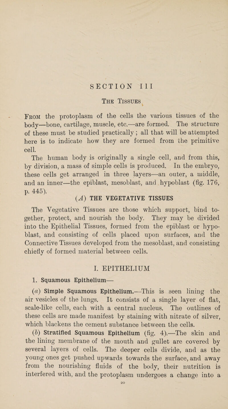 SECTION III The Tissues From the protoplasm of the cells the various tissues of the body—hone, cartilage, muscle, etc.—are formed. The structure of these must be studied practically ; all that will be attempted here is to indicate how they are formed from the primitive cell. The human body is originally a single cell, and from this, by division, a mass of simple cells is produced. In the embryo, these cells get arranged in three layers—an outer, a middle, and an inner—the epiblast, mesoblast, and , hypoblast (fig. 176, p. 445). (A) THE VEGETATIVE TISSUES The Vegetative Tissues are those which support, bind to¬ gether, protect, and nourish the body. They may be divided into the Epithelial Tissues, formed from the epiblast or hypo¬ blast, and consisting of cells placed upon surfaces, and the Connective Tissues developed from the mesoblast, and consisting chiefly of formed material between cells. I. EPITHELIUM 1. Squamous Epithelium— (a) Simple Squamous Epithelium.—This is seen lining the air vesicles of the lungs. It consists of a single layer of flat, scale-like cells, each with a central nucleus. The outlines of these cells are made manifest by staining with nitrate of silver, which blackens the cement substance between the cells. (5) Stratified Squamous Epithelium (fig. 4).—The skin and the lining membrane of the mouth and gullet are covered by several layers of cells. The deeper cells divide, and as the young ones get pushed upwards towards the surface, and away from the nourishing fluids of the body, their nutrition is interfered with, and the protoplasm undergoes a change into a