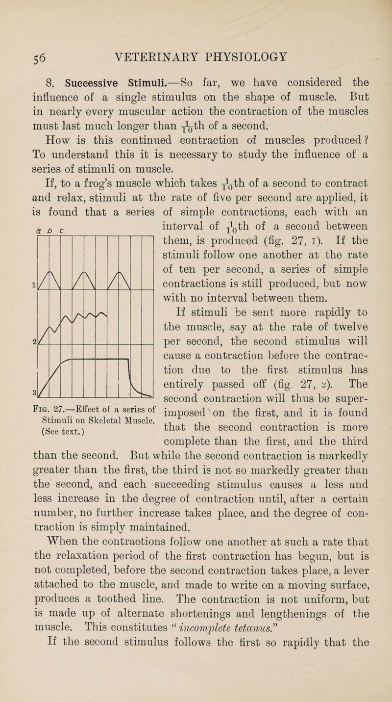 8. Successive Stimuli.—So far, we have considered the influence of a single stimulus on the shape of muscle. But in nearly every muscular action the contraction of the muscles must last much longer than ^th of a second. How is this continued contraction of muscles produced ? To understand this it is necessary to study the influence of a series of stimuli on muscle. If, to a frog’s muscle which takes y^th of a second to contract and relax, stimuli at the rate of five per second are applied, it of simple contractions, each with an interval of Tl0th a secon(f between them, is produced (fig. 27, l). If the stimuli follow one another at the rate of ten per second, a series of simple contractions is still produced, but now with no interval between them. If stimuli be sent more rapidly to the muscle, say at the rate of twelve per second, the second stimulus will cause a contraction before the contrac¬ tion due to the first stimulus has entirely passed off (fig. 27, 2). The second contraction will thus be super¬ imposed on the first, and it is found that the second contraction is more complete than the first, and the third than the second. But while the second contraction is markedly greater than the first, the third is not so markedly greater than the second, and each succeeding stimulus causes a less and less increase in the degree of contraction until, after a certain number, no further increase takes place, and the degree of con¬ traction is simply maintained. When the contractions follow one another at such a rate that the relaxation period of the first contraction has begun, but is not completed, before the second contraction takes place, a lever attached to the muscle, and made to write on a moving surface, produces a toothed line. The contraction is not uniform, but is made up of alternate shortenings and lengthenings of the muscle. This constitutes “incomplete tetanus.” If the second stimulus follows the first so rapidly that the is found that a series a b c / \ / \ / \ L \/ r\ /■s s —. 1 Fig. 27.—Effect of a series of Stimuli on Skeletal Muscle. (See text.)