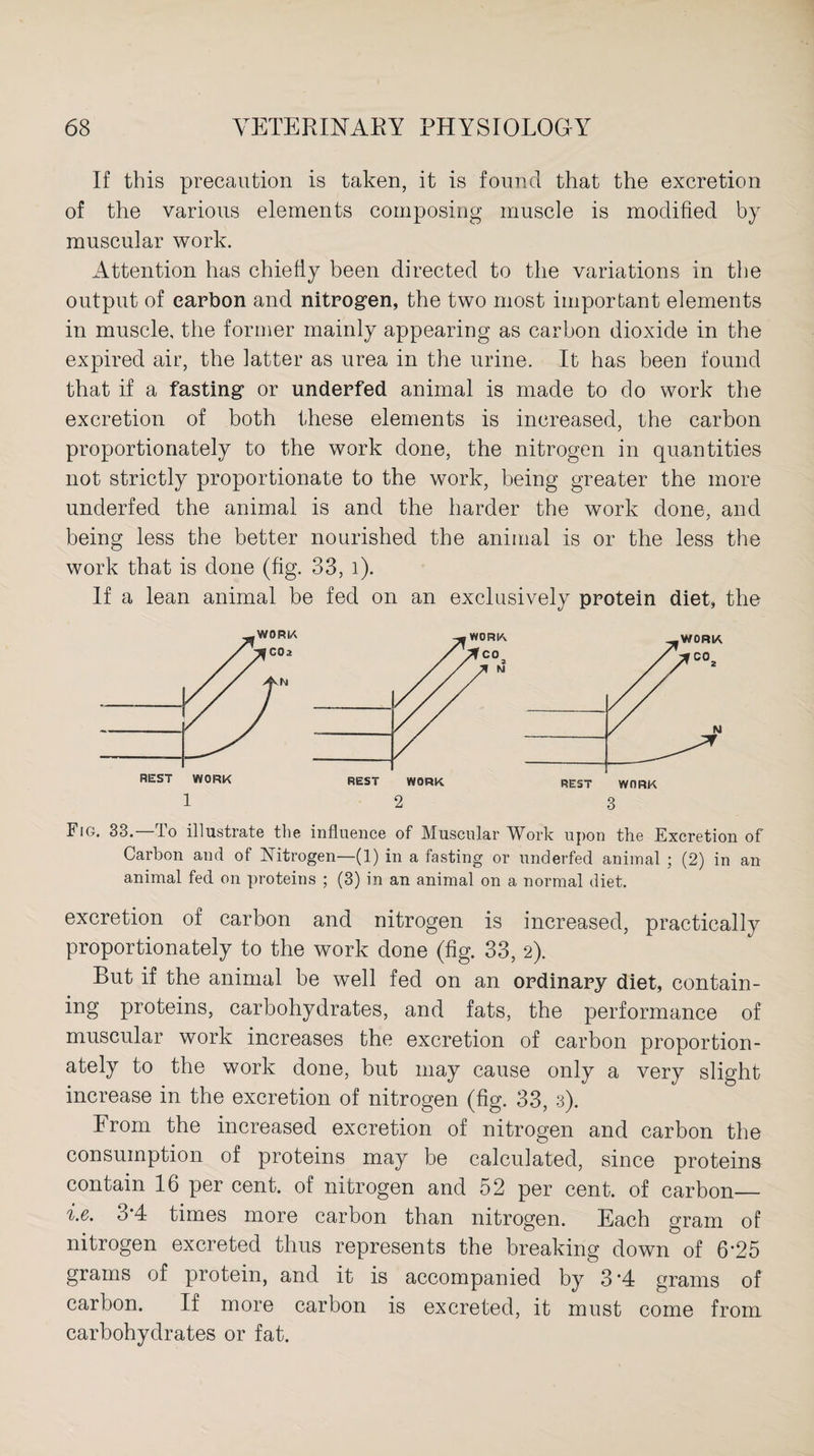 If this precaution is taken, it is found that the excretion of the various elements composing muscle is modified by muscular work. Attention has chiefly been directed to the variations in the output of carbon and nitrogen, the two most important elements in muscle, the former mainly appearing as carbon dioxide in the expired air, the latter as urea in the urine. It has been found that if a fasting or underfed animal is made to do work the excretion of both these elements is increased, the carbon proportionately to the work done, the nitrogen in quantities not strictly proportionate to the work, being greater the more underfed the animal is and the harder the work done, and being less the better nourished the animal is or the less the work that is done (fig. 33, 1). If a lean animal be fed on an exclusively protein diet, the 12 3 Fig. 33. do illustrate the influence of Muscular Work upon the Excretion of Carbon and of Nitrogen—(1) in a fasting or underfed animal ; (2) in an animal fed on proteins ; (3) in an animal on a normal diet. excretion of carbon and nitrogen is increased, practically proportionately to the work done (fig. 33, 2). But if the animal be well fed on an ordinary diet, contain¬ ing proteins, carbohydrates, and fats, the performance of muscular work increases the excretion of carbon proportion¬ ately to the work done, but may cause only a very slight increase in the excretion of nitrogen (fig. 33, 3). From the increased excretion of nitrogen and carbon the consumption of proteins may be calculated, since proteins contain 16 per cent, of nitrogen and 52 per cent, of carbon_ i.e. 3*4 times more carbon than nitrogen. Each gram of nitrogen excreted thus represents the breaking down of 6*25 grams of protein, and it is accompanied by 3 ’4 grams of carbon. If more carbon is excreted, it must come from carbohydrates or fat.