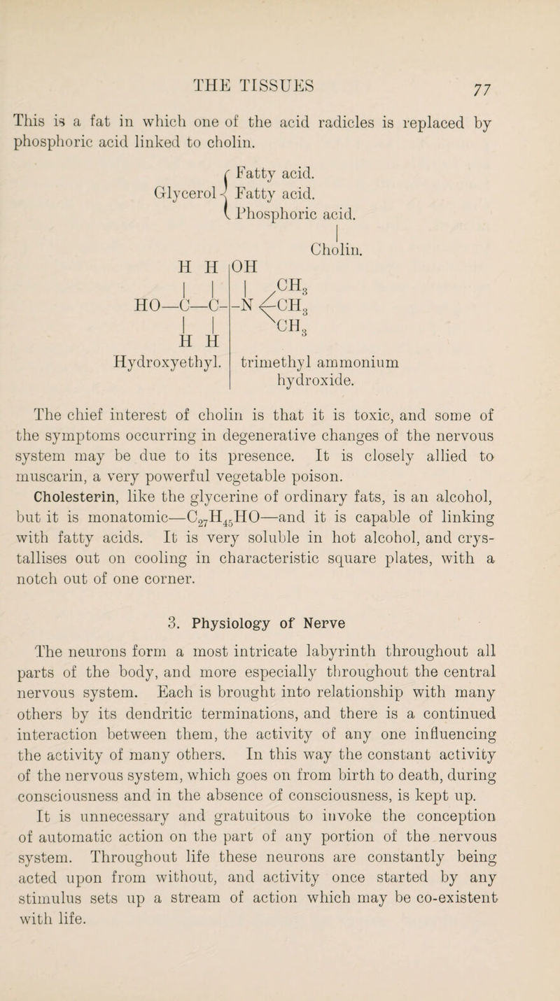 This is a fat in which one of the acid radicles is replaced by phosphoric acid linked to cholin. c Fatty acid. Glycerol-< Fatty acid. V Phosphoric acid. Cholin. H IT HO—C—C- H H Hydroxyethyl. OH I OH., -n ^ch; xch3 trimethyl ammonium hydroxide. The chief interest of cholin is that it is toxic, and some of the symptoms occurring in degenerative changes of the nervous system may be due to its presence. It is closely allied to muscarin, a very powerful vegetable poison. Cholesterin, like the glycerine of ordinary fats, is an alcohol, but it is monatomic—C27H45HO—and it is capable of linking with fatty acids. It is very soluble in hot alcohol, and crys¬ tallises out on cooling in characteristic square plates, with a notch out of one corner. 3. Physiology of Nerve The neurons form a most intricate labyrinth throughout all parts of the body, and more especially throughout the central nervous system. Each is brought into relationship with many others by its dendritic terminations, and there is a continued interaction between them, the activity of any one influencing the activity of many others. In this way the constant activity of the nervous system, which goes on from birth to death, during consciousness and in the absence of consciousness, is kept up. It is unnecessary and gratuitous to invoke the conception of automatic action on the part of any portion of the nervous system. Throughout life these neurons are constantly being acted upon from without, and activity once started by any stimulus sets up a stream of action which may be co-existent with life.