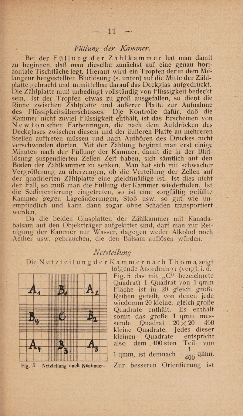 Füllung der Kammer. Bei der Füllung der Zählkammer hat man damit zu beginnen, daß man dieselbe zunächst auf eine genau hori¬ zontale Tischfläche legt. Hierauf wird ein Tropfen der in dem Me¬ langeur hergestellten Blutlösung (s. unten) auf die Mitte der Zähl¬ platte gebracht und unmittelbar darauf das Deckglas aufgedrückt. Die Zählplatte muß unbedingt vollständig von Flüssigkeit bedeckt sein. Ist der Tropfen etwas zu groß ausgefallen, so dient die Rinne zwischen Zählplatte und* äußerer Platte zur Aufnahme des Flüssigkeitsüberschusses. Die Kontrolle dafür, daß die Kammer nicht zuviel Flüssigkeit enthält, ist das Erscheinen von Ne wton sehen Farbenringen, die nach dem Aufdrücken des Deckglases zwischen diesem und der äußeren Platte an mehreren Stellen auftreten müssen und nach Aufhören des Druckes nicht verschwinden dürfen. Mit der Zählung beginnt man erst einige Minuten nach der Füllung der Kammer, damit die in der Blut¬ lösung suspendierten Zellen Zeit haben, sich sämtlich auf den Boden der Zählkammer zu senken. Man hat sich mit schwacher Vergrößerung zu überzeugen, ob die Verteilung der Zellen auf der quadrierten Zählplatte eine gleichmäßige ist. Ist dies nicht der Fall, so muß man die Füllung der Kammer wiederholen. Ist die Sedimentierung eingetreten, so ist eine sorgfältig gefüllte Kammer gegen Lageänderungen, Stoß usw. so gut wie un¬ empfindlich und kann dann sogar ohne Schaden transportiert werden. Da die beiden Glasplatten der Zählkammer mit Kanada¬ balsam auf den Objektträger aufgekittet sind, darf man zur Rei¬ nigung der Kammer nur Wasser, dagegen weder Alkohol noch Aether usw. gebrauchen, die den Balsam auflösen würden. Netzteilung Die Netzteilung der Kammernach Thema, zeigt folgende Anordnung:- (vergl. i. d. Fig. 5 das mit „Cu bezeichnete Quadrat) 1 Quadrat von 1 qmm Fläche ist in 20 gleich große Reihen geteilt, von denen jede wiederum 20 kleine, gleich große Quadrate enthält. Es enthält somit das große 1 qmm mes¬ sende Quadrat 20 X 20 = 400 kleine Quadrate. Jedes dieser kleinen Quadrate entspricht also dem 400 sten Teil von 1 1 qmm, ist demnach = qmm. Fig. 5. Nctzieiiung nach Neubauer. Zur besseren Orientierung ist