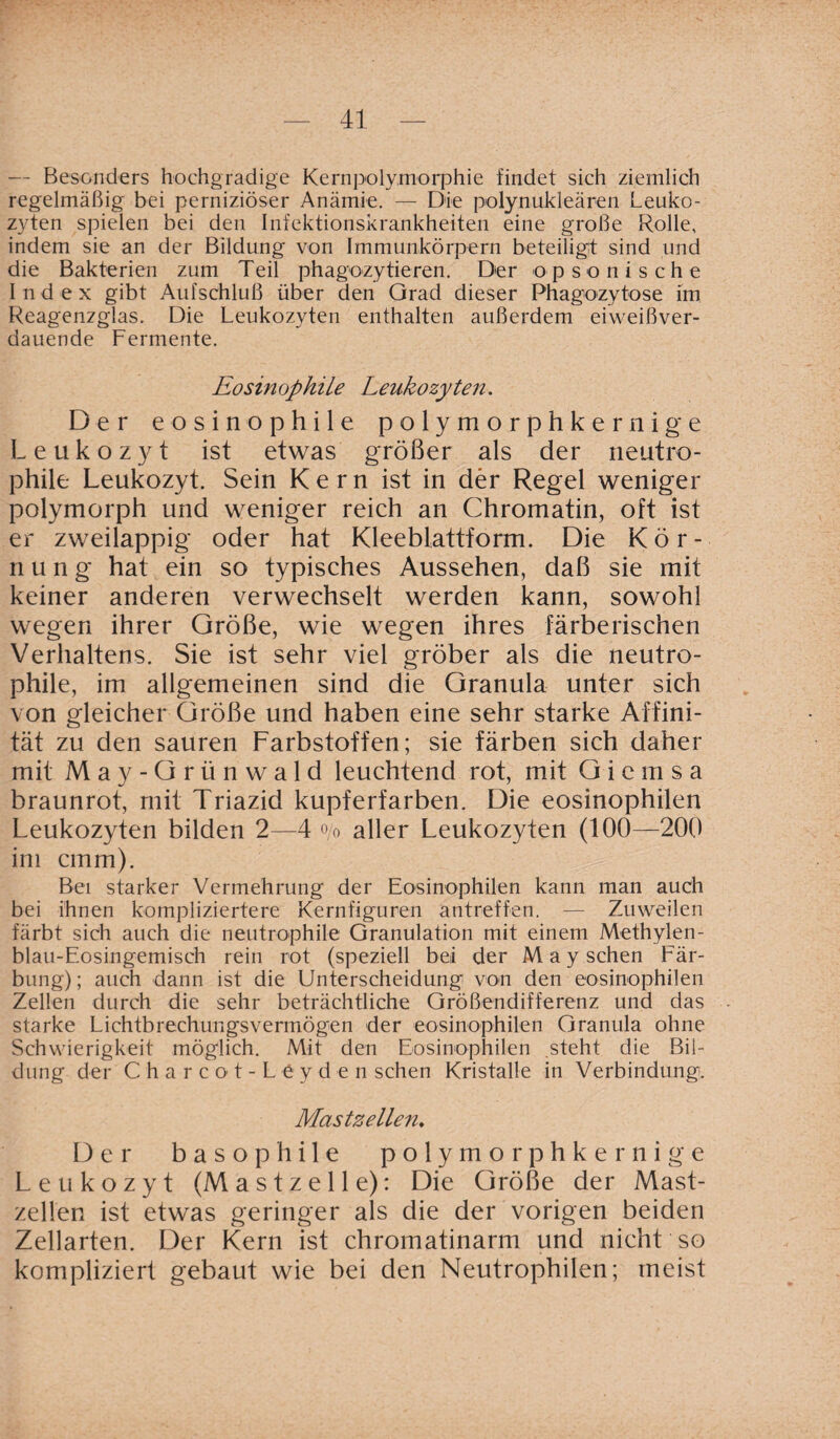 — Besonders hochgradige Kernpolymorphie findet sich ziemlich regelmäßig bei perniziöser Anämie. — Die polynukleären Leuko¬ zyten spielen bei den Infektionskrankheiten eine große Rolle, indem sie an der Bildung von Immunkörpern beteiligt sind und die Bakterien zum Teil phagozyti-eren. Der opsonische Index gibt Aufschluß über den Grad dieser Phagozytose im Reagenzglas. Die Leukozyten enthalten außerdem eiweißver¬ dauende Fermente. Eosinophile Leukozyten. Der eosinophile polymorphkernige Leukozyt ist etwas größer als der neutro¬ phile Leukozyt. Sein Kern ist in der Regel weniger polymorph und weniger reich an Chromatin, oft ist er zweilappig oder hat Kleeblattform. Die Kör- n u n g hat ein so typisches Aussehen, daß sie mit keiner anderen verwechselt werden kann, sowohl wegen ihrer Größe, wie wegen ihres färberischen Verhaltens. Sie ist sehr viel gröber als die neutro¬ phile, im allgemeinen sind die Granula unter sich von gleicher Größe und haben eine sehr starke Affini¬ tät zu den sauren Farbstoffen; sie färben sich daher mit M a y - G r ii n w a 1 d leuchtend rot, mit G i c in s a braunrot, mit Triazid kupferfarben. Die eosinophilen Leukozyten bilden 2—4 o/o aller Leukozyten (100—200 im cinm). Bei starker Vermehrung der Eosinophilen kann man auch bei ihnen kompliziertere Kernfiguren antreffen. — Zuweilen färbt sich auch die neutrophile Granulation mit einem Methylen- blau-Eosingemisch rein rot (speziell bei der May sehen Fär¬ bung) ; auch dann ist die Unterscheidung von den eosinophilen Zellen durch die sehr beträchtliche Größendifferenz und das starke Lichtbrechungsvermögen der eosinophilen Granula ohne Schwierigkeit möglich. Mit den Eosinophilen steht die Bil¬ dung der C h a r c o t - L e y d e n sehen Kristalle in Verbindung. Mastzellen. Der basophile polymorphkernige Leukozyt (Mastzelle): Die Größe der Mast¬ zellen ist etwas geringer als die der vorigen beiden Zellarten. Der Kern ist chromatinarm und nicht so kompliziert gebaut wie bei den Neutrophilen; meist