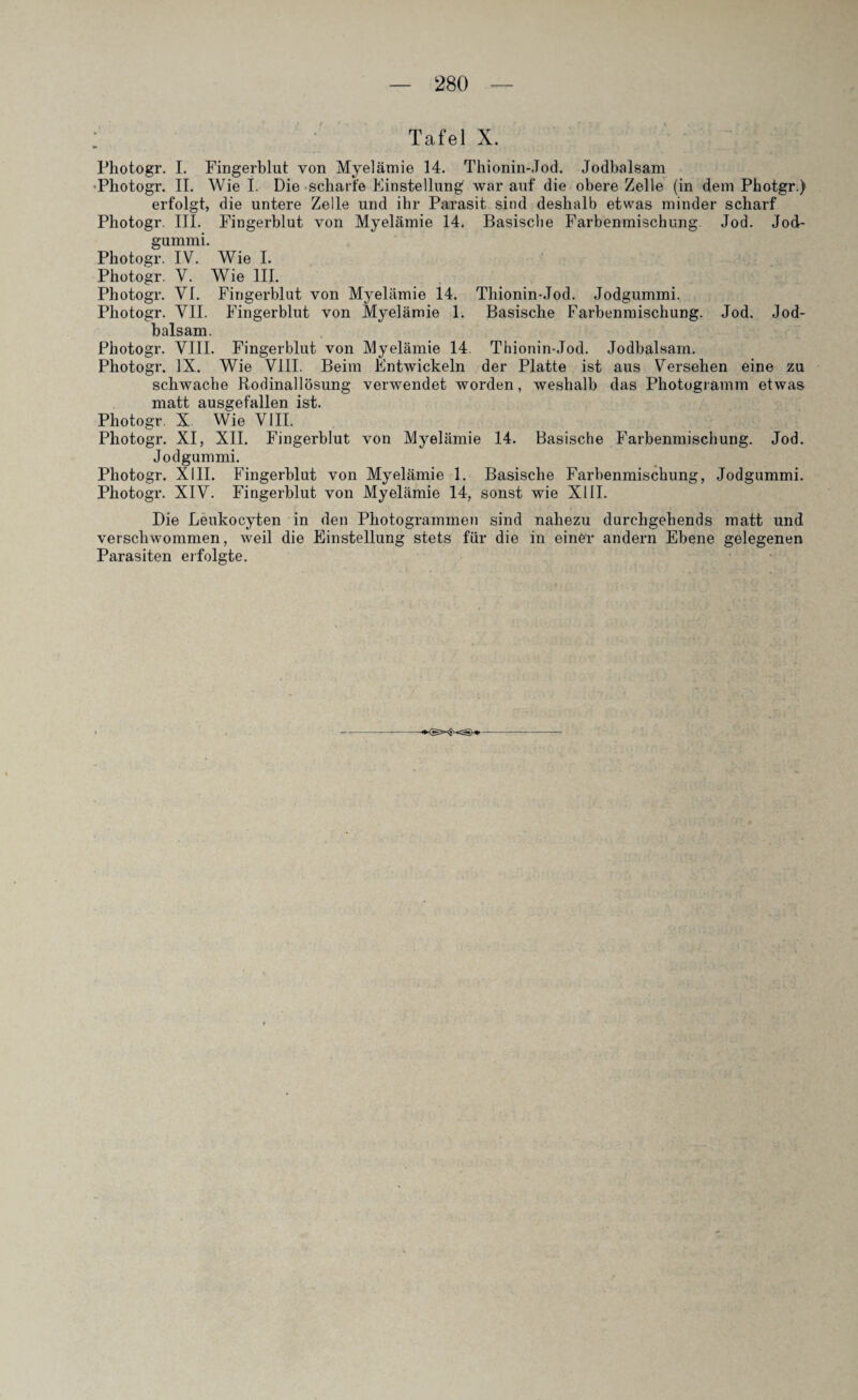 Tafel X. Photogr. I. Fingerblut von Myelämie 14. Thionin-Jod. Jodbalsam •Photogr. II. Wiel. Die scharfe Einstellung worauf die obere Zelle (in dem Photgr.) erfolgt, die untere Zelle und ihr Parasit sind deshalb etwas minder scharf Photogr. III. Fingerblut von Myelämie 14. Basische Farbenmischung Jod. Jod¬ gummi. Photogr. IV. Wie I. Photogr. V. Wie III. Photogr. VI. Fingerblut von Myelämie 14. Thionin-Jod. Jodgummi. Photogr. VII. Fingerblut von Myelämie 1. Basische Farbenmischung. Jod. Jod¬ balsam. Photogr. VIII. Fingerblut von Myelämie 14 Thionin-Jod. Jodbalsam. Photogr. IX. Wie VIII. Beim Entwickeln der Platte ist aus Versehen eine zu schwache Rodinallösung verwendet worden, weshalb das Photogramm etwas matt ausgefallen ist. Photogr. X Wie VIII. Photogr. XI, XII. Fingerblut von Myelämie 14. Basische Farbenmischung. Jod. Jodgummi. Photogr. XIII. Fingerblut von Myelämie 1. Basische Farbenmischung, Jodgummi. Photogr. XIV. Fingerblut von Myelämie 14, sonst wie XIII. Die Leukocyten in den Photogrammen sind nahezu durchgehends matt und verschwommen, weil die Einstellung stets für die in ein£r andern Ebene gelegenen Parasiten erfolgte.