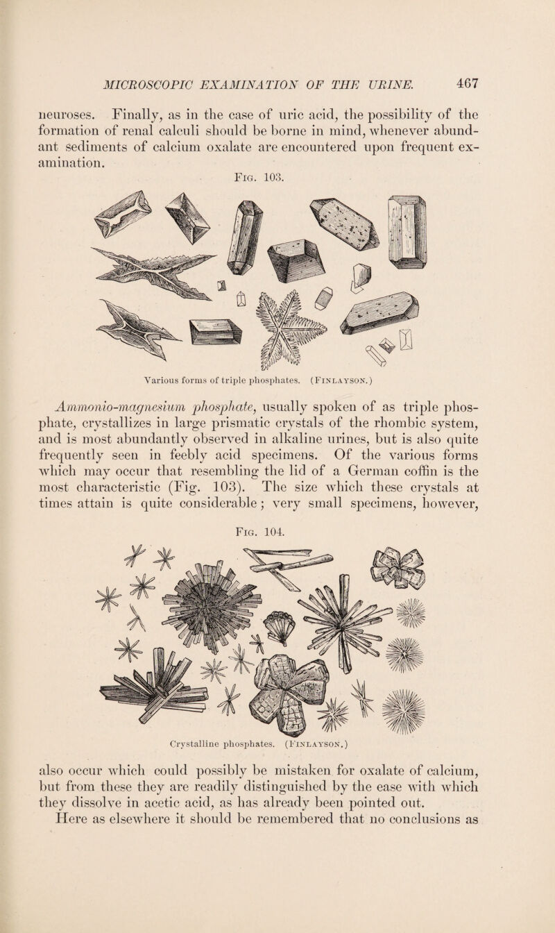 neuroses. Finally, as in the case of uric acid, the possibility of the formation of renal calculi should be borne in mind, whenever abund¬ ant sediments of calcium oxalate are encountered upon frequent ex¬ amination. Fig. 103. Various forms of triple phosphates. (Finlayson. ) Ammonio-magnesium 'phosphate, usually spoken of as triple phos¬ phate, crystallizes in large prismatic crystals of the rhombic system, and is most abundantly observed in alkaline urines, but is also quite frequently seen in feebly acid specimens. Of the various forms which may occur that resembling the lid of a German coffin is the most characteristic (Fig. 103). The size which these crystals at times attain is quite considerable; very small specimens, however, Fig. 104. Crystalline phosphates. (Finlayson.) also occur which could possibly be mistaken for oxalate of calcium, but from these they are readily distinguished by the ease with which they dissolve in acetic acid, as has already been pointed out. Here as elsewhere it should be remembered that no conclusions as