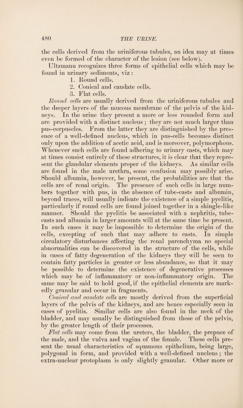 the cells derived from the uriniferous tubules, an idea may at times even be formed of the character of the lesion (see below). Ultzmann recognizes three forms of epithelial cells which may be found in urinary sediments, viz : 1. Round cells. 2. Conical and caudate cells. 3. Flat cells. Round cells are usually derived from the uriniferous tubules and the deeper layers of the mucous membrane of the pelvis of the kid¬ neys. In the urine they present a more or less rounded form and are provided with a distinct nucleus ; they are not much larger than pus-corpuscles. From the latter they are distinguished by the pres¬ ence of a well-defined nucleus, which in pus-cells becomes distinct only upon the addition of acetic acid, and is moreover, polymorphous. Whenever such cells are found adhering to urinary casts, which may at times consist entirely of these structures, it is clear that they repre¬ sent the glandular elements proper of the kidneys. As similar cells are found in the male urethra, some confusion may possibly arise. Should albumin, however, be present, the probabilities are that the cells are of renal origin. The presence of such cells in large num¬ bers together with pus, in the absence of tube-casts and albumin, beyond traces, will usually indicate the existence of a simple pyelitis, particularly if round cells are found joined together in a shingle-like manner. Should the pyelitis be associated with a nephritis, tube- casts and albumin in larger amounts will at the same time be present. In such cases it may be impossible to determine the origin of the cells, excepting of such that may adhere to casts. In simple circulatory disturbances affecting the renal parenchyma no special abnormalities can be discovered in the structure of the cells, while in cases of fatty degeneration of the kidneys they will be seen to contain fatty particles in greater or less abundance, so that it may be possible to determine the existence of degenerative processes which may be of inflammatory or non-inflammatory origin. The same may be said to hold good, if the epithelial elements are mark¬ edly granular and occur in fragments. Conical and caudate cells are mostly derived from the superficial layers of the pelvis of the kidneys, and are hence especially seen in cases of pyelitis. Similar cells are also found in the neck of the bladder, and may usually be distinguished from those of the pelvis, by the greater length of their processes. Flat cells may come from the ureters, the bladder, the prepuce of the male, and the vulva and vagina of the female. These cells pre¬ sent the usual characteristics of squamous epithelium, being large, polygonal in form, and provided with a well-defined nucleus; the extra-nuclear protoplasm is only slightly granular. Other more or