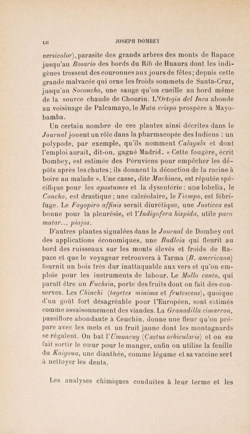 lu versicolor), parasite des grands arbres des monts de Rapace jusqu'au Rosario des bords du Rio de Huaura dont les indi¬ gènes tressent des couronnes aux jours de fêtes; depuis cette grande malvacée qui orne les froids sommets de Santa-Cruz, jusqu’au Soconcho, une sauge qu’on cueille au bord même de la source chaude de Chourin. UOrtigia del Inca abonde au voisinage de Palcamayo, \eMata crispo prospère à Mayo- bamba. Un certain nombre de ces plantes ainsi décrites dans le Journal jouent un rôle dans la pharmacopée des Indiens : un polypode, par exemple, qu’ils nomment Calagala et dont l’emploi aurait, dit-on, gagné Madrid. « Cette fougère, écrit Dombey, est estimée des Péruviens pour empêcher les dé¬ pôts après les chutes ; ils donnent la décoction de la racine à boire au malade ». Une casse, dite Machinca, est réputée spé¬ cifique pour les apostumes et la dysentérie : unelobelia, le Concho, est drastique; une calcéolaire, le 7'iempo, est fébri¬ fuge. Le Fagopiro affinis serait diurétique, une Justicea est bonne pour la pleurésie, et YIndigofera hispida, utile para matar... piojos. D’autres plantes signalées dans le Journal de Dombey ont des applications économiques, une Budleia qui fleurit au bord des ruisseaux sur les monts élevés et froids de Ra¬ pace et que le voyageur retrouvera à Tarma (B. americana) fournit un bois très dur inattaquable aux vers et qu’on em¬ ploie pour les instruments de labour. Le Mollo canto, qui paraît être un Fuchsia, porte des fruits dont on fait des con¬ serves. Les Chinchi (tagetes mïnima et frutescens), quoique d'un goût fort désagréable pour l’Européen, sont estimés comme assaisonnement des viandes. La Granadilla cimarron, passiflore abondante à Ceuchin, donne une fleur qu’on pré¬ pare avec les mets et un fruit jaune dont les montagnards se régalent. On bat VUmuncuy [Cactus orbicularis) et on en fait sortir le cœur pour le manger, enfin on utilise la feuille du Kaigoua, une dianthée, comme légume et sa vaccine sert à nettoyer les dents. Les analyses chimiques conduites à leur terme et les