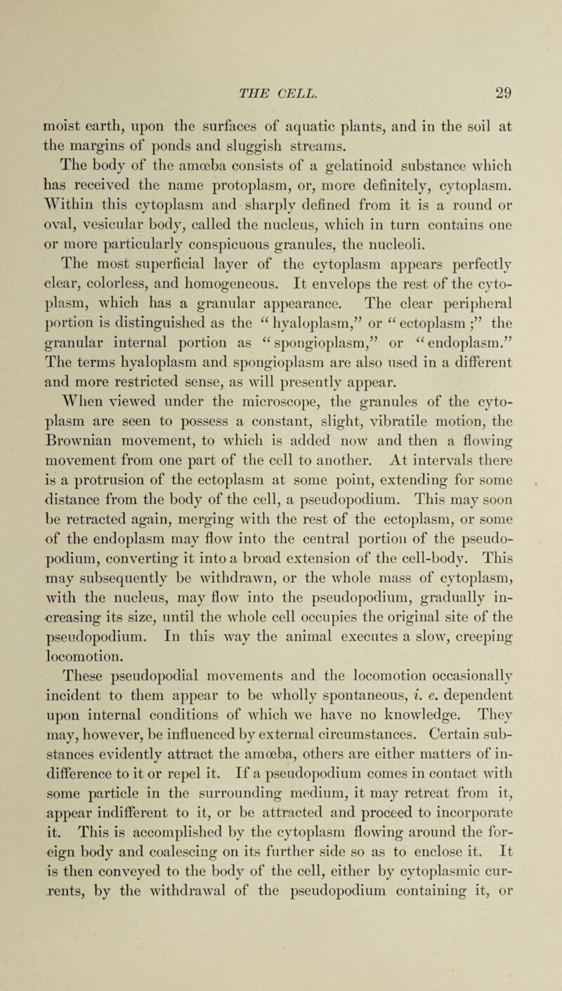 moist earth, upon the surfaces of aquatic plants, and in the soil at the margins of ponds and sluggish streams. The body of the amoeba consists of a gelatinoid substance which has received the name protoplasm, or, more definitely, cytoplasm. Within this cytoplasm and sharply defined from it is a round or oval, vesicular body, called the nucleus, which in turn contains one or more particularly conspicuous granules, the nucleoli. The most superficial layer of the cytoplasm appears perfectly clear, colorless, and homogeneous. It envelops the rest of the cyto¬ plasm, which has a granular appearance. The clear peripheral portion is distinguished as the “ hyaloplasm/’ or “ ectoplasm /’ the granular internal portion as “ spongioplasm,” or “ endoplasm.” The terms hyaloplasm and spongioplasm are also used in a different and more restricted sense, as will presently appear. When viewed under the microscope, the granules of the cyto¬ plasm are seen to possess a constant, slight, vibratile motion, the Brownian movement, to which is added now and then a flowing movement from one part of the cell to another. At intervals there is a protrusion of the ectoplasm at some point, extending for some distance from the body of the cell, a pseudopodium. This may soon be retracted again, merging with the rest of the ectoplasm, or some of the endoplasm may flow into the central portion of the pseudo¬ podium, converting it into a broad extension of the cell-body. This may subsequently be withdrawn, or the whole mass of cytoplasm, with the nucleus, may flow into the pseudopodium, gradually in¬ creasing its size, until the whole cell occupies the original site of the pseudopodium. In this way the animal executes a slow, creeping locomotion. These pseudopodial movements and the locomotion occasionally incident to them appear to be wholly spontaneous, i. e. dependent upon internal conditions of which we have no knowledge. They may, however, be influenced by external circumstances. Certain sub¬ stances evidently attract the amoeba, others are either matters of in¬ difference to it or repel it. If a pseudopodium comes in contact with some particle in the surrounding medium, it may retreat from it, appear indifferent to it, or be attracted and proceed to incorporate it. This is accomplished by the cytoplasm flowing around the for¬ eign body and coalescing on its further side so as to enclose it. It is then conveyed to the body of the cell, either by cytoplasmic cur¬ rents, by the withdrawal of the pseudopodium containing it, or