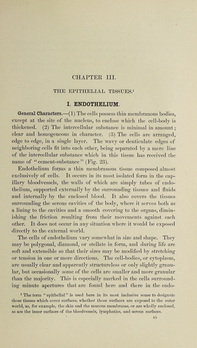 THE EPITHELIAL TISSUES.1 I. ENDOTHELIUM. General Characters.—(1) The cells possess thin membranous bodies, except at the site of the nucleus, to enclose which the cell-body is thickened. (2) The intercellular substance is minimal in amount; clear and homogeneous in character. (3) The cells are arranged, edge to edge, in a single layer. The wavy or denticulate edges of neighboring cells fit into each other, being separated by a mere line of the intercellular substance which in this tissue has received the name of “ cement-substance ” (Fig. 23). Endothelium forms a thin membranous tissue composed almost exclusively of cells. It occurs in its most isolated form in the cap¬ illary bloodvessels, the walls of which are simply tubes of endo¬ thelium, supported externally by the surrounding tissues and fluids and internally by the enclosed blood. It also covers the tissues surrounding the serous cavities of the body, where it serves both as a lining to the cavities and a smooth covering to the organs, dimin¬ ishing the friction resulting from their movements against each other. It does not occur in any situation where it would be exposed directly to the external world. * The cells of endothelium vary somewhat in size and shape. They may be polygonal, diamond, or stellate in form, and during life are soft and extensible so that their sizes may be modified by stretching or tension in one or more directions. The cell-bodies, or cytoplasm, are usually clear and apparently structureless or only slightly granu¬ lar, but occasionally some of the cells are smaller and more granular than the majority. This is especially marked in the cells surround¬ ing minute apertures that are found here and there in the endo- 1 The term “ epithelial ” is used here in its most inclusive sense to designate those tissues which cover surfaces, whether those surfaces are exposed to the outer world, as, for example, the skin and the mucous membranes, or are wholly enclosed, as are the inner surfaces of the bloodvessels, lymphatics, and serous surfaces.
