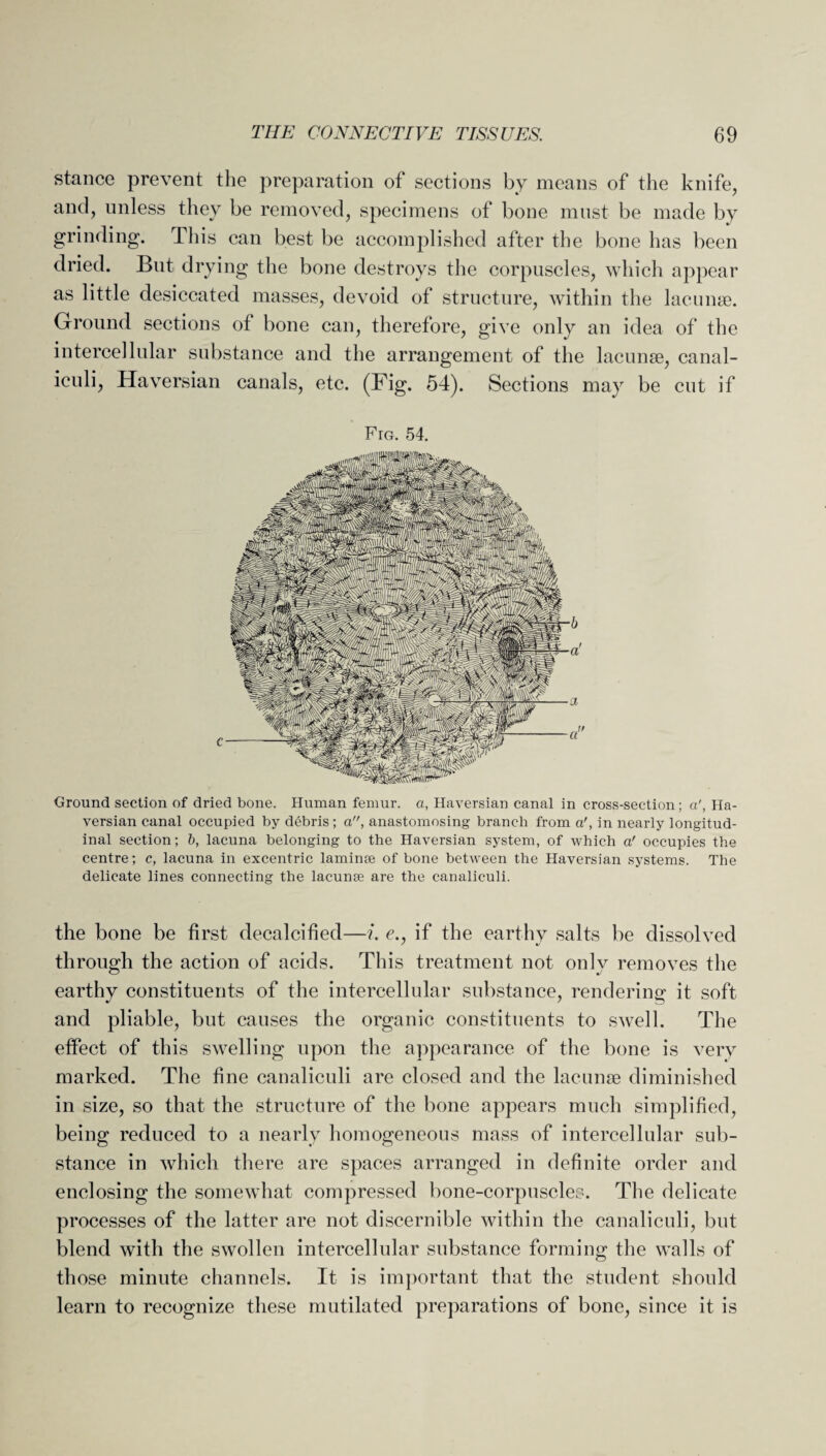 stance prevent the preparation of sections by means of the knife, and, unless they be removed, specimens of bone must be made by grinding. This can best be accomplished after the bone has been dried. But drying the bone destroys the corpuscles, which appear as little desiccated masses, devoid of structure, within the lacunae. Ground sections of bone can, therefore, give only an idea of the intercellular substance and the arrangement of the lacunae, canal- iculi, Haversian canals, etc. (Fig. 54). Sections may be cut if Fro. 54. Ground section of dried bone. Human femur, a, Haversian canal in cross-section; a', Ha¬ versian canal occupied by debris; a, anastomosing branch from a', in nearly longitud¬ inal section; b, lacuna belonging to the Haversian system, of which a' occupies the centre; c, lacuna in excentric laminae of bone between the Haversian systems. The delicate lines connecting the lacunse are the canaliculi. the bone be first decalcified—i. e., if the earthy salts be dissolved through the action of acids. This treatment not only removes the earthy constituents of the intercellular substance, rendering it soft and pliable, but causes the organic constituents to swell. The effect of this swelling upon the appearance of the bone is very marked. The fine canaliculi are closed and the lacunae diminished in size, so that the structure of the bone appears much simplified, being reduced to a nearly homogeneous mass of intercellular sub¬ stance in which there are spaces arranged in definite order and enclosing the somewhat compressed bone-corpuscles. The delicate processes of the latter are not discernible within the canaliculi, but blend with the swollen intercellular substance forming the walls of those minute channels. It is important that the student should learn to recognize these mutilated preparations of bone, since it is