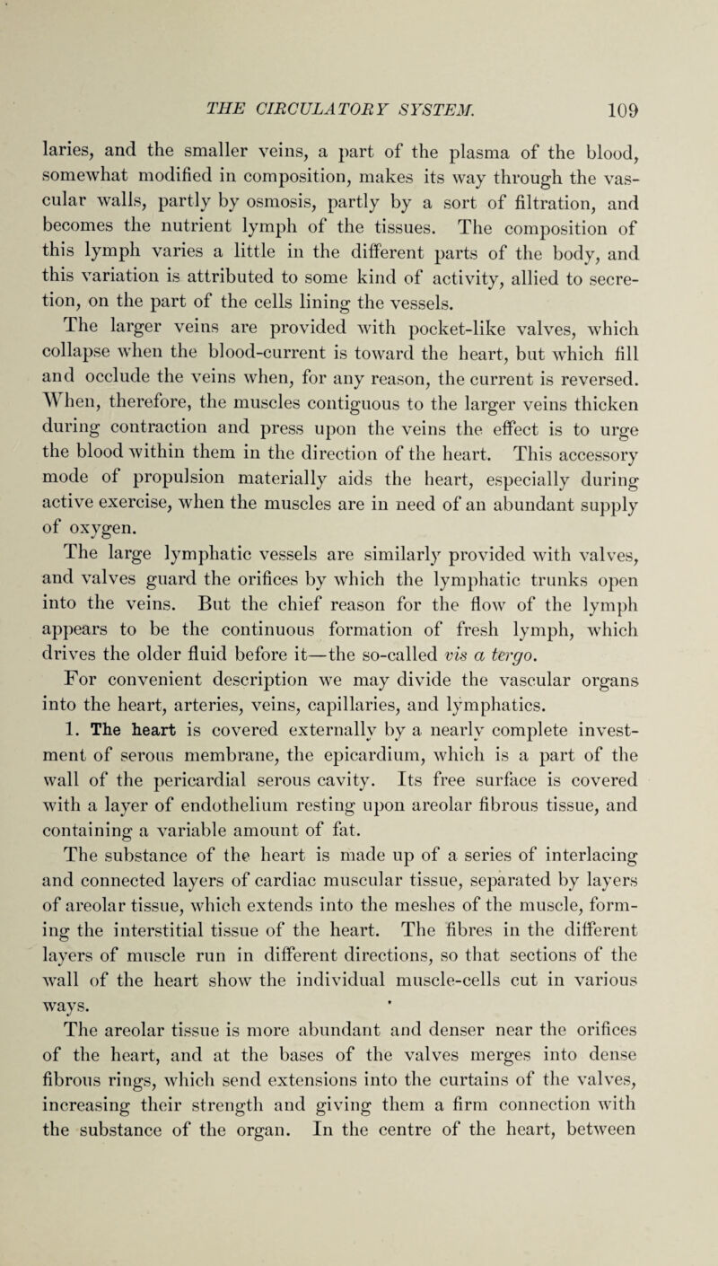 laries, and the smaller veins, a part of the plasma of the blood, somewhat modified in composition, makes its way through the vas¬ cular walls, partly by osmosis, partly by a sort of filtration, and becomes the nutrient lymph of the tissues. The composition of this lymph varies a little in the different parts of the body, and this variation is attributed to some kind of activity, allied to secre¬ tion, on the part of the cells lining the vessels. The larger veins are provided with pocket-like valves, which collapse when the blood-current is toward the heart, but which fill and occlude the veins when, for any reason, the current is reversed. W hen, therefore, the muscles contiguous to the larger veins thicken during contraction and press upon the veins the effect is to urge the blood within them in the direction of the heart. This accessory mode of propulsion materially aids the heart, especially during active exercise, when the muscles are in need of an abundant supply of oxygen. The large lymphatic vessels are similarly provided with valves, and valves guard the orifices by which the lymphatic trunks open into the veins. But the chief reason for the flow of the lymph appears to be the continuous formation of fresh lymph, which drives the older fluid before it—the so-called vis a forgo. For convenient description we may divide the vascular organs into the heart, arteries, veins, capillaries, and lymphatics. 1. The heart is covered externally by a nearly complete invest¬ ment of serous membrane, the epicardium, which is a part of the wall of the pericardial serous cavity. Its free surface is covered with a layer of endothelium resting upon areolar fibrous tissue, and containing a variable amount of fat. The substance of the heart is made up of a series of interlacing and connected layers of cardiac muscular tissue, separated by layers of areolar tissue, which extends into the meshes of the muscle, form¬ ing the interstitial tissue of the heart. The fibres in the different layers of muscle run in different directions, so that sections of the wall of the heart show the individual muscle-cells cut in various ways. The areolar tissue is more abundant and denser near the orifices of the heart, and at the bases of the valves merges into dense fibrous rings, which send extensions into the curtains of the valves, increasing their strength and giving them a firm connection with the substance of the organ. In the centre of the heart, between