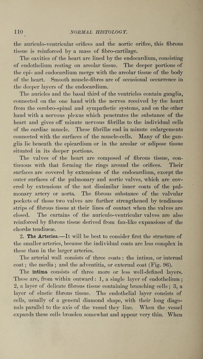 the auriculo-ventricular orifices and the aortic orifice, this fibrous tissue is reinforced by a mass of fibro-cartilage. The cavities of the heart are lined by the endocardium, consisting of endothelium resting on areolar tissue. The deeper portions of the epi- and endocardium merge with the areolar tissue of the body of the heart. Smooth muscle-fibres are of occasional occurrence in the deeper layers of the endocardium. The auricles and the basal third of the ventricles contain ganglia, connected on the one hand with the nerves received by the heart from the cerebro-spinal and sympathetic systems, and on the other hand with a nervous plexus which penetrates the substance of the heart and gives off minute nervous fibrillse to the individual cells of the cardiac muscle. These fibrillse end in minute enlargements connected with the surfaces of the muscle-cells. Many of the gan¬ glia lie beneath the epicardium or in the areolar or adipose tissue situated in its deeper portions. The valves of the heart are composed of fibrous tissue, con¬ tinuous with that forming the rings around the orifices. Their surfaces are covered by extensions of the endocardium, except the outer surfaces of the pulmonary and aortic valves, which are cov¬ ered by extensions of the not dissimilar inner coats of the pul¬ monary artery or aorta. The fibrous substance of the valvular pockets of those two valves are further strengthened by tendinous strips of fibrous tissue at their lines of contact when the valves are closed. The curtains of the auriculo-ventricular valves are also reinforced by fibrous tissue derived from fan-like expansions of the chordae tendinese. 2. The Arteries.—It will be best to consider first the structure of the smaller arteries, because the individual coats are less complex in these than in the larger arteries. The arterial wall consists of three coats : the intima, or internal coat; the media; and the adventitia, or external coat (Fig. 96). The intima consists of three more or less well-defined layers. These are, from within outward : 1, a single layer of endothelium ; 2, a layer of delicate fibrous tissue containing branching cells; 3, a layer of elastic fibrous tissue. The endothelial layer consists of cells, usually of a general diamond shape, with their long diago¬ nals parallel to the axis of the vessel they line. When the vessel expands these cells broaden somewhat and appear very thin. When