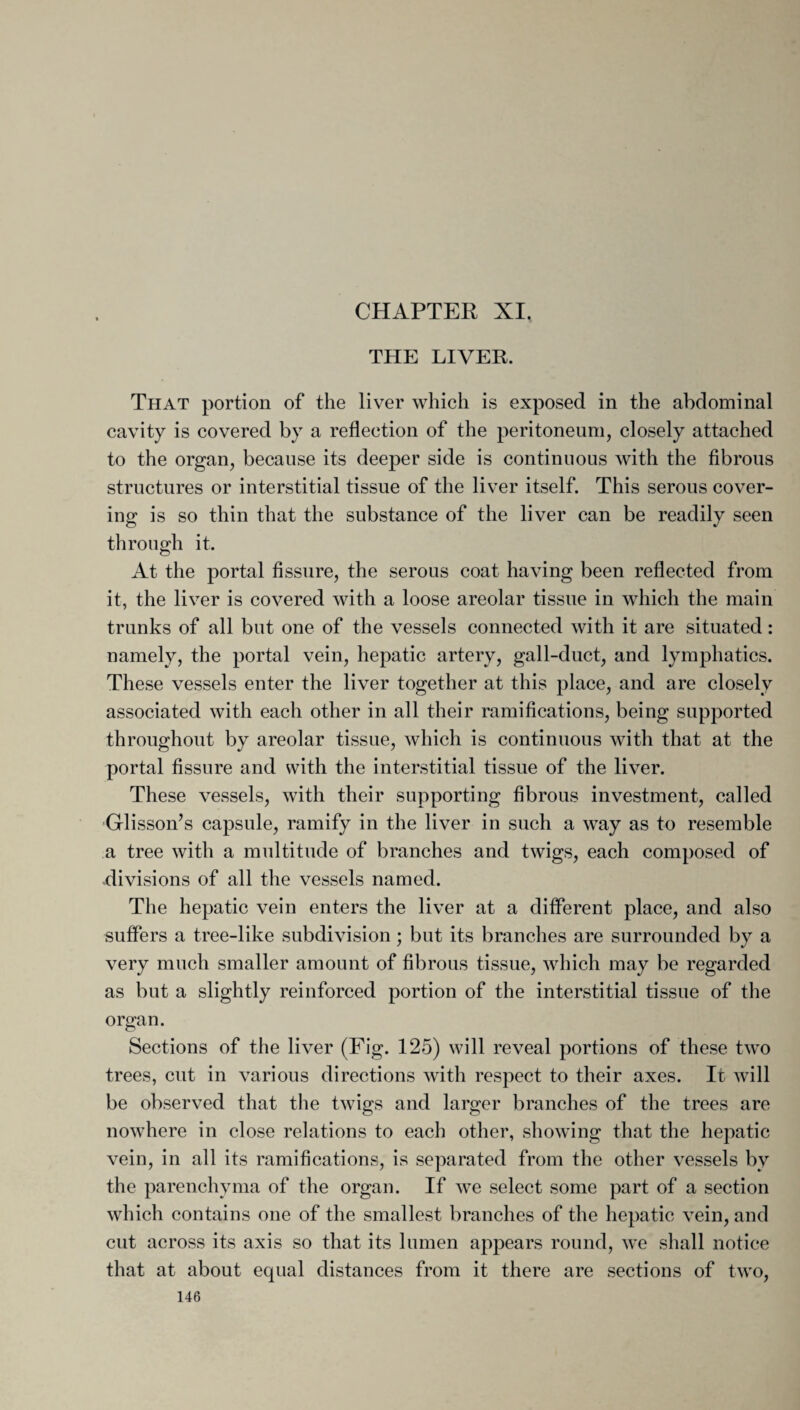 CHAPTER XI. THE LIVER. That portion of the liver which is exposed in the abdominal cavity is covered by a reflection of the peritoneum, closely attached to the organ, because its deeper side is continuous with the fibrous structures or interstitial tissue of the liver itself. This serous cover¬ ing is so thin that the substance of the liver can be readily seen through it. At the portal fissure, the serous coat having been reflected from it, the liver is covered with a loose areolar tissue in which the main trunks of all but one of the vessels connected with it are situated: namely, the portal vein, hepatic artery, gall-duct, and lymphatics. These vessels enter the liver together at this place, and are closely associated with each other in all their ramifications, being supported throughout by areolar tissue, which is continuous with that at the portal fissure and with the interstitial tissue of the liver. These vessels, with their supporting fibrous investment, called Glisson’s capsule, ramify in the liver in such a way as to resemble a tree with a multitude of branches and twigs, each composed of divisions of all the vessels named. The hepatic vein enters the liver at a different place, and also suffers a tree-like subdivision; but its branches are surrounded by a very much smaller amount of fibrous tissue, which may be regarded as but a slightly reinforced portion of the interstitial tissue of the organ. Sections of the liver (Fig. 125) will reveal portions of these two trees, cut in various directions with respect to their axes. It will be observed that the twigs and larger branches of the trees are nowhere in close relations to each other, showing that the hepatic vein, in all its ramifications, is separated from the other vessels by the parenchyma of the organ. If we select some part of a section which contains one of the smallest branches of the hepatic vein, and cut across its axis so that its lumen appears round, we shall notice that at about equal distances from it there are sections of two,