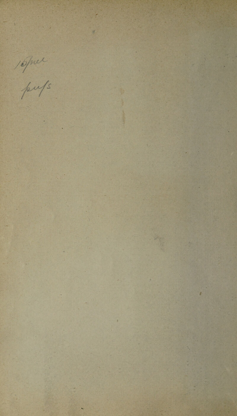 1 \ V. V , V r if / •v 1 • -■ \ /. • *. , /* V; / V ;j ' . 1 \ *':■ ■ T