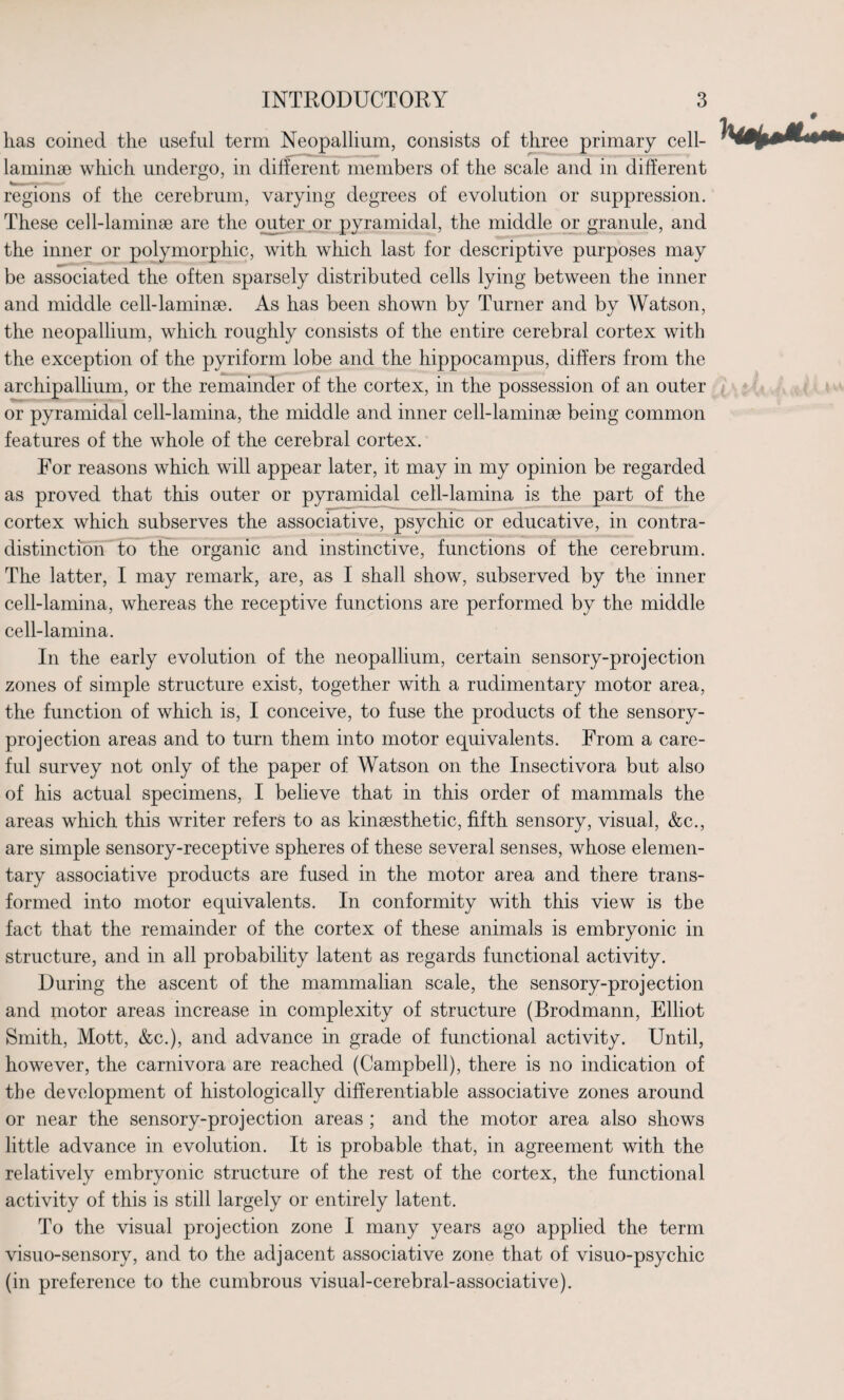 has coined the useful term Neopallium, consists of three primary cell- laminae which undergo, in different members of the scale and in different regions of the cerebrum, varying degrees of evolution or suppression. These cell-laminae are the outer or pyramidal, the middle or granule, and the inner or polymorphic, with which last for descriptive purposes may be associated the often sparsely distributed cells lying between the inner and middle cell-laminae. As has been shown by Turner and by Watson, the neopallium, which roughly consists of the entire cerebral cortex with the exception of the pyriform lobe and the hippocampus, differs from the archipallium, or the remainder of the cortex, in the possession of an outer or pyramidal cell-lamina, the middle and inner cell-laminae being common features of the whole of the cerebral cortex. For reasons which will appear later, it may in my opinion be regarded as proved that this outer or pyramidal cell-lamina is the part of the cortex which subserves the associative, psychic or educative, in contra¬ distinction to the organic and instinctive, functions of the cerebrum. The latter, I may remark, are, as I shall show, subserved by the inner cell-lamina, whereas the receptive functions are performed by the middle cell-lamina. In the early evolution of the neopallium, certain sensory-projection zones of simple structure exist, together with a rudimentary motor area, the function of which is, I conceive, to fuse the products of the sensory- projection areas and to turn them into motor equivalents. From a care¬ ful survey not only of the paper of Watson on the Insectivora but also of his actual specimens, I believe that in this order of mammals the areas which this writer refers to as kinaesthetic, fifth sensory, visual, &c., are simple sensory-receptive spheres of these several senses, whose elemen¬ tary associative products are fused in the motor area and there trans¬ formed into motor equivalents. In conformity with this view is the fact that the remainder of the cortex of these animals is embryonic in structure, and in all probability latent as regards functional activity. During the ascent of the mammalian scale, the sensory-projection and motor areas increase in complexity of structure (Brodmann, Elliot Smith, Mott, &c.), and advance in grade of functional activity. Until, however, the carnivora are reached (Campbell), there is no indication of the development of histologically differentiable associative zones around or near the sensory-projection areas ; and the motor area also shows little advance in evolution. It is probable that, in agreement with the relatively embryonic structure of the rest of the cortex, the functional activity of this is still largely or entirely latent. To the visual projection zone I many years ago applied the term visuo-sensory, and to the adjacent associative zone that of visuo-psychic (in preference to the cumbrous visual-cerebral-associative).