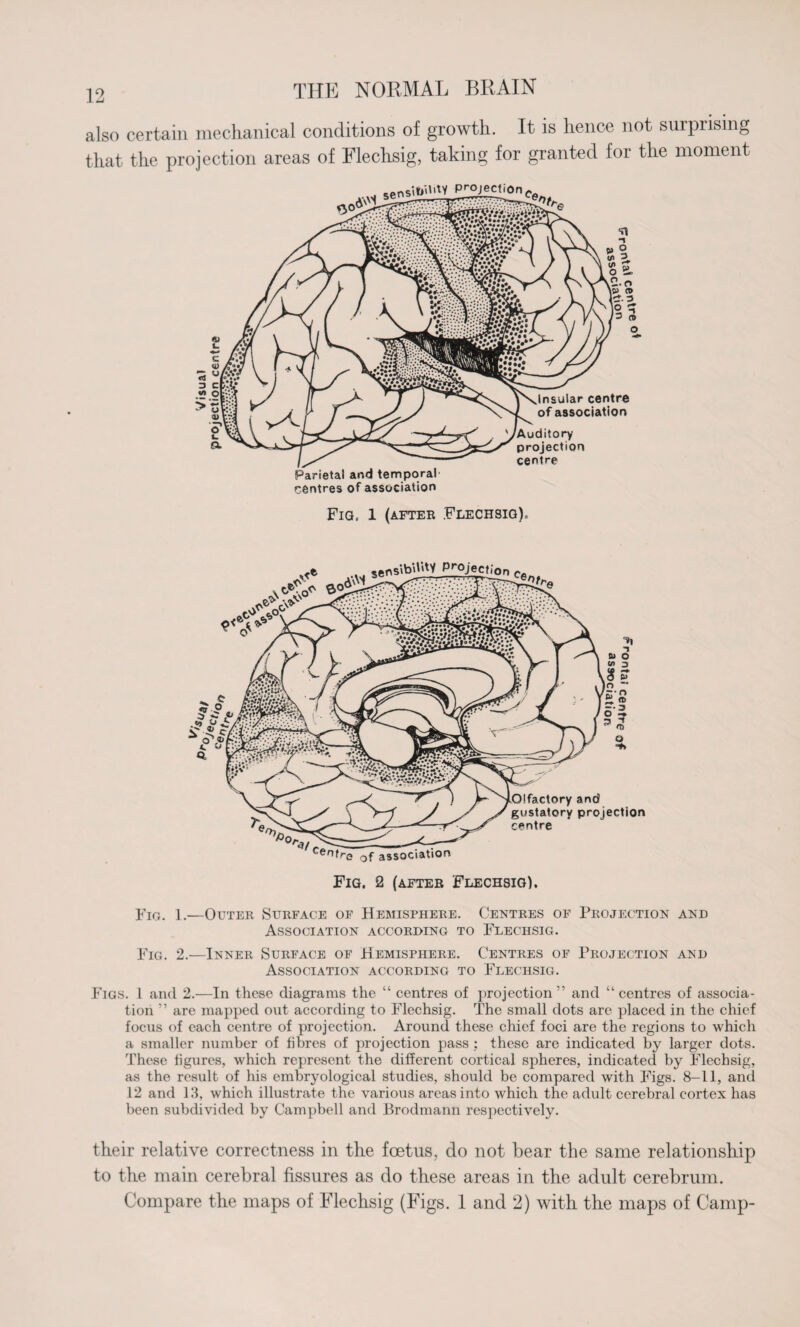 also certain mechanical conditions of growth. It is hence not surprising that the projection areas of Flechsig, taking for granted for the moment Parietal and temporal centres of association Insular centre of association Auditory projection centre Fig, 1 (after .Flechsig). Fig. 1.—Outer Surface of Hemisphere. Centres of Projection and Association according to Flechsig. Fig. 2.—Inner Surface of Hemisphere. Centres of Projection and Association according to Flechsig. Figs. 1 and 2.—In these diagrams the “ centres of projection ” and “centres of associa¬ tion ” are mapped out according to Flechsig. The small dots are placed in the chief focus of each centre of projection. Around these chief foci are the regions to which a smaller number of fibres of projection pass : these are indicated by larger dots. These figures, which represent the different cortical spheres, indicated by Flechsig, as the result of his embryological studies, should be compared with Figs. 8-11, and 12 and 13, which illustrate the various areas into which the adult cerebral cortex has been subdivided by Campbell and Brodmann respectively. their relative correctness in the foetus, do not bear the same relationship to the main cerebral fissures as do these areas in the adult cerebrum. Compare the maps of Flechsig (Figs. 1 and 2) with the maps of Camp-