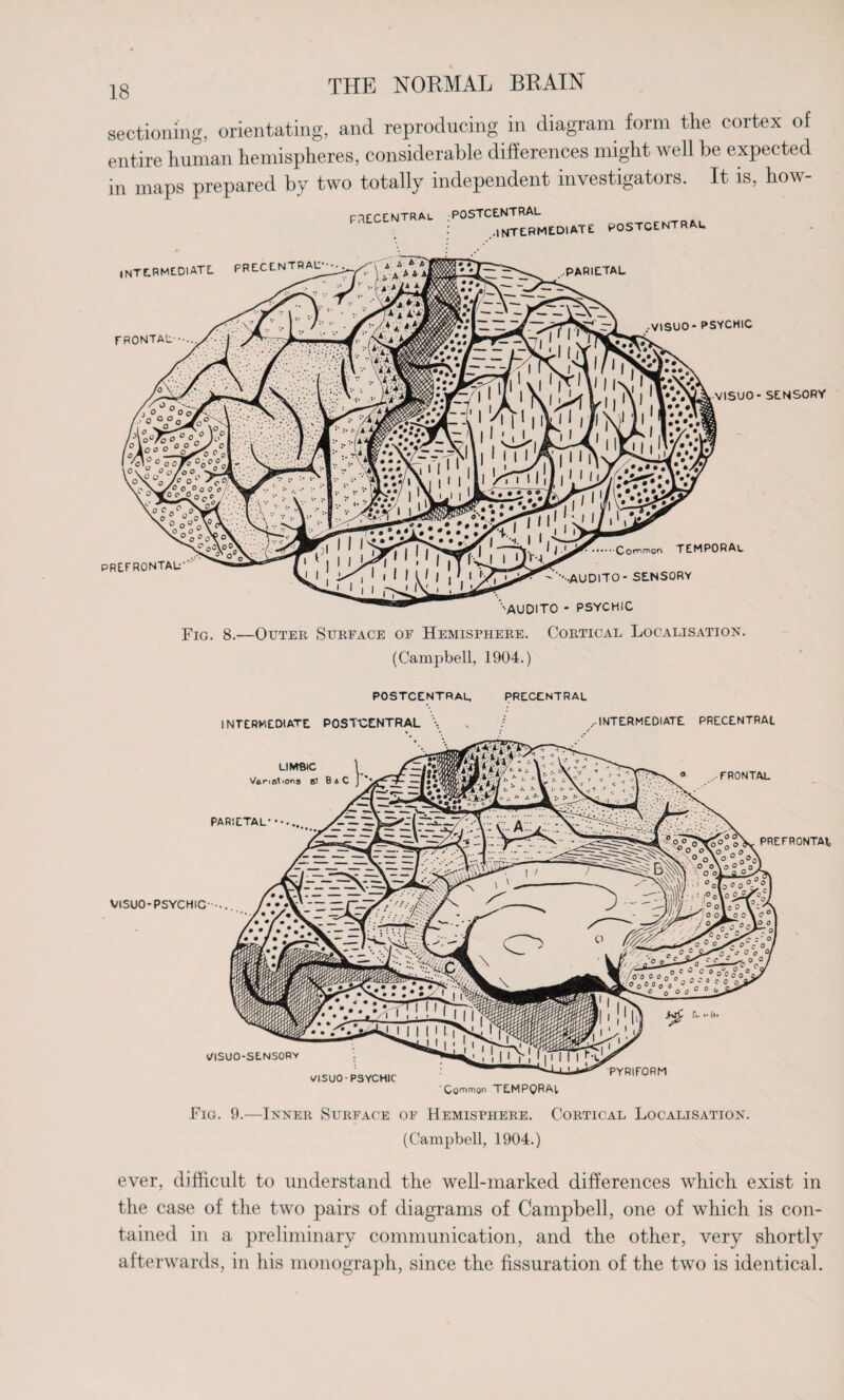 sectioning, orientating, and reproducing in diagram form the cortex of entire human hemispheres, considerable differences might well be expected in maps prepared by two totally independent investigators. It is, how- precentral postcentral .intermediate postcentral Fig. 8.—Outer Surface of Hemisphere. Cortical Localisation. (Campbell, 1904.) postcentral precentral Fig. 9.—Inner Surface of Hemisphere. Cortical Localisation. (Campbell, 1904.) ever, difficult to understand the well-marked differences which exist in the case of the two pairs of diagrams of Campbell, one of which is con¬ tained in a preliminary communication, and the other, very shortly afterwards, in his monograph, since the fissuration of the two is identical.