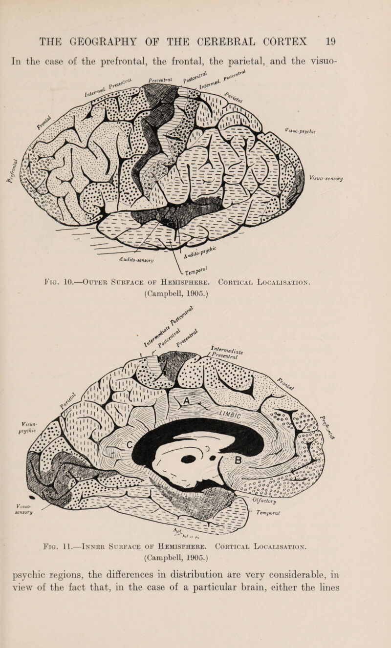 r0t>(a( In the ease of the prefrontal, the frontal, the parietal, and the visuo- (Campbell, 1905.) psychic regions, the differences in distribution are very considerable, in view of the fact that, in the case of a particular brain, either the lines