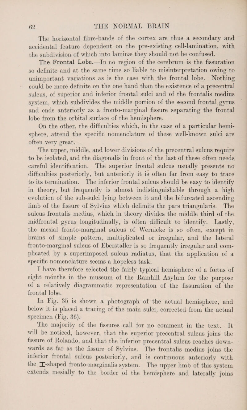 The horizontal fibre-bands of the cortex are thus a secondary and accidental feature dependent on the pre-existing cell-lamination, with the subdivision of which into laminae they should not be confused. The Frontal Lobe.—In no region of the cerebrum is the fissuration so definite and at the same time so liable to misinterpretation owing to unimportant variations as is the case with the frontal lobe. Nothing could be more definite on the one hand than the existence of a precentral sulcus, of superior and inferior frontal sulci and of the frontalis medius system, which subdivides the middle portion of the second frontal gyrus and ends anteriorly as a fronto-marginal fissure separating the frontal lobe from the orbital surface of the hemisphere. On the other, the difficulties which, in the case of a particular hemi¬ sphere, attend the specific nomenclature of these well-known sulci are often very great. The upper, middle, and lower divisions of the precentral sulcus require to be isolated, and the diagonalis in front of the last of these often needs careful identification. The superior frontal sulcus usually presents no difficulties posteriorly, but anteriorly it is often far from easy to trace to its termination. The inferior frontal sulcus should be easy to identify in theory, but frequently is almost indistinguishable through a high evolution of the sub-sulci lying between it and the bifurcated ascending limb of the fissure of Sylvius which delimits the pars triangularis. The sulcus frontalis medius, which in theory divides the middle third of the midfrontal gyrus longitudinally, is often difficult to identify. Lastly, the mesial fronto-marginal sulcus of Wernicke is so often, except in brains of simple pattern, multiplicated or irregular, and the lateral fronto-marginal sulcus of Eberstaller is so frequently irregular and com¬ plicated by a superimposed sulcus radiatus, that the application of a specific nomenclature seems a hopeless task. I have therefore selected the fairly typical hemisphere of a foetus of eight months in the museum of the Rainhill Asylum for the purpose of a relatively diagrammatic representation of the fissuration of the frontal lobe. In Fig. 35 is shown a photograph of the actual hemisphere, and below it is placed a tracing of the main sulci, corrected from the actual specimen (Fig. 36). The majority of the fissures call for no comment in the text. It will be noticed, however, that the superior precentral sulcus joins the fissure of Rolando, and that the inferior precentral sulcus reaches down¬ wards as far as the fissure of Sylvius. The frontalis medius joins the inferior frontal sulcus posteriorly, and is continuous anteriorly with the I-shaped fronto-marginalis system. The upper limb of this system extends mesially to the border of the hemisphere and laterally joins