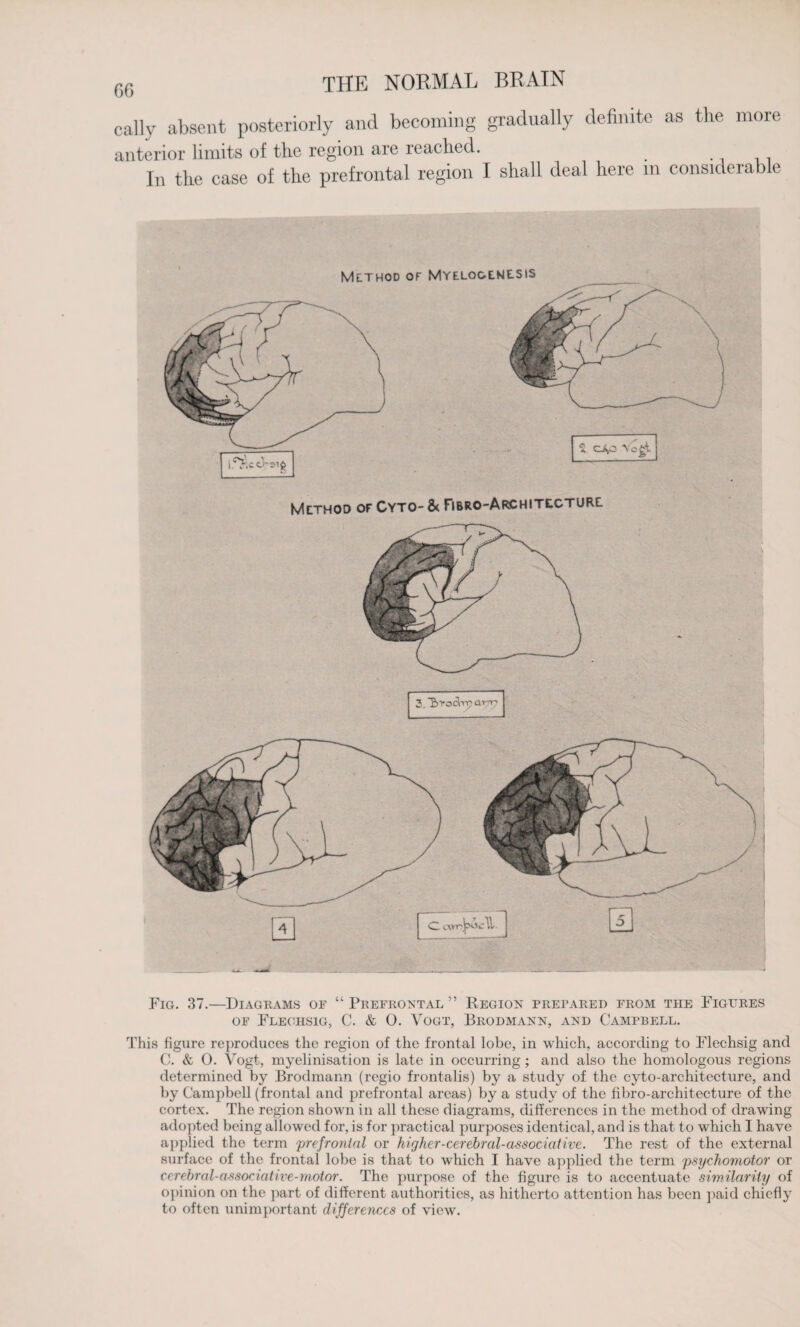 cally absent posteriorly and becoming gradually definite as the more anterior limits of the region are reached. In the case of the prefrontal region I shall deal here in considerable Method of Mye.logene.sis Method of Cyto- & Fibro-Architecturl Fig. 37.—Diagrams of “ Prefrontal ” Region prepared from the Figures of Flechsig, C. & 0. Vogt, Brodmann, and Campbell. This figure reproduces the region of the frontal lobe, in which, according to Flechsig and C. & 0. Vogt, myelinisation is late in occurring ; and also the homologous regions determined by Brodmann (regio frontalis) by a study of the cyto-architecture, and by Campbell (frontal and prefrontal areas) by a study of the fibro-architecture of the cortex. The region shown in all these diagrams, differences in the method of drawing adopted being allowed for, is for practical purposes identical, and is that to which I have applied the term prefrontal or higher-cerebral-associative. The rest of the external surface of the frontal lobe is that to which I have applied the term psychomotor or cerebral-associative-motor. The purpose of the figure is to accentuate similarity of opinion on the part of different authorities, as hitherto attention has been paid chiefly to often unimportant differences of view.