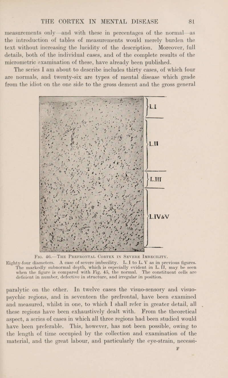 measurements only—and with these in percentages of the normal—as the introduction of tables of measurements would merely burden the text without increasing the lucidity of the description. Moreover, full details, both of the individual cases, and of the complete results of the micrometric examination of these, have already been published. The series 1 am about to describe includes thirty cases, of which four are normals, and twenty-six are types of mental disease which grade from the idiot on the one side to the gross dement and the gross general Fig. 46.—The Prefrontal Cortex in Severe Imbecility. Eighty-four diameters. A case of severe imbecility. L. I to L. V as in previous figures. The markedly subnormal depth, which is especially evident in L. II, may be seen when the figure is compared with Fig. 45, the normal. The constituent cells are deficient in number, defective in structure, and irregular in position. paralytic on the other. In twelve cases the visuo-sensory and visuo- psychic regions, and in seventeen the prefrontal, have been examined and measured, whilst in one, to which I shall refer in greater detail, all these regions have been exhaustively dealt with. From the theoretical aspect, a series of cases in which all three regions had been studied would have been preferable. This, however, has not been possible, owing to the length of time occupied by the collection and examination of the material, and the great labour, and particularly the eye-strain, necessi- F